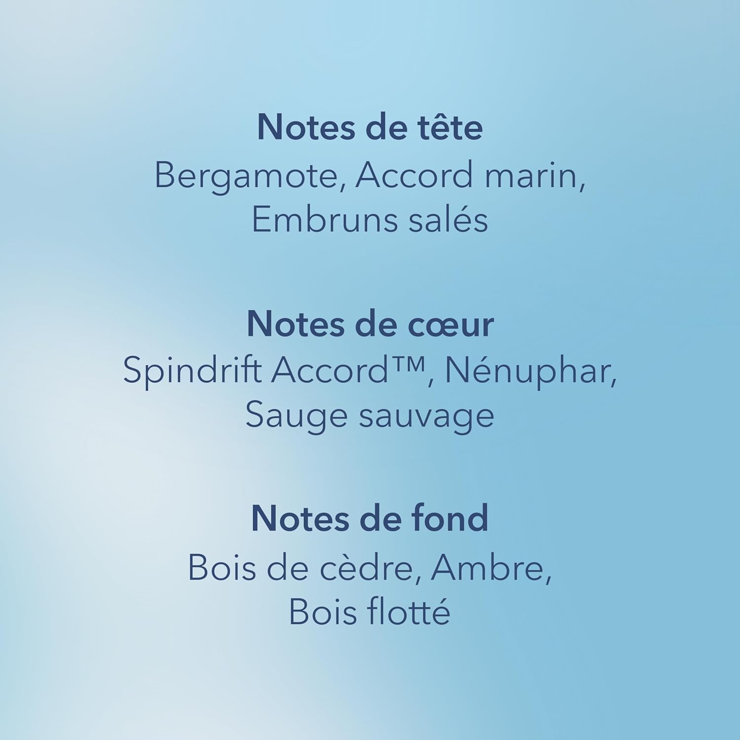 Detalle de Chesapeake Bay Bougie parfumée Grande bougie – Serene Waters, cadeau idéal pour femmes