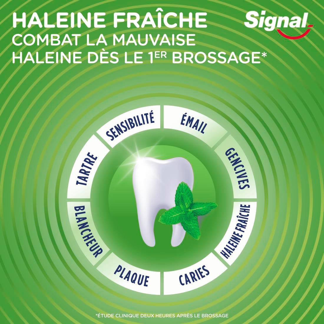 Detalle de Signal Integral 8 tandpasta voor frisse adem, prebiotische werking, 95% natuurlijke ingrediënten, 75 ml
