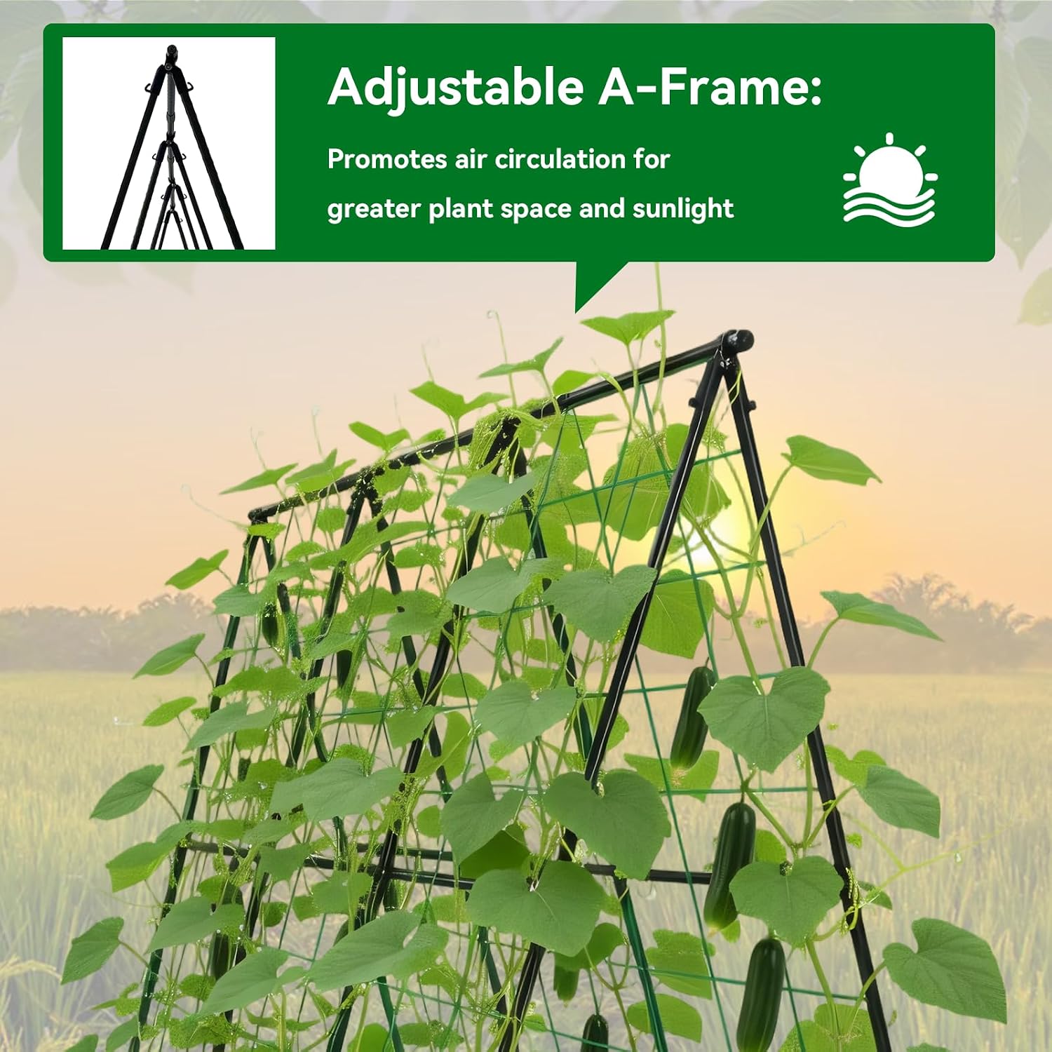 Detalle de Trellume TL-PTJ-030-TR A-Frame Garden Trellis, 49.4-Inch Steel, Black