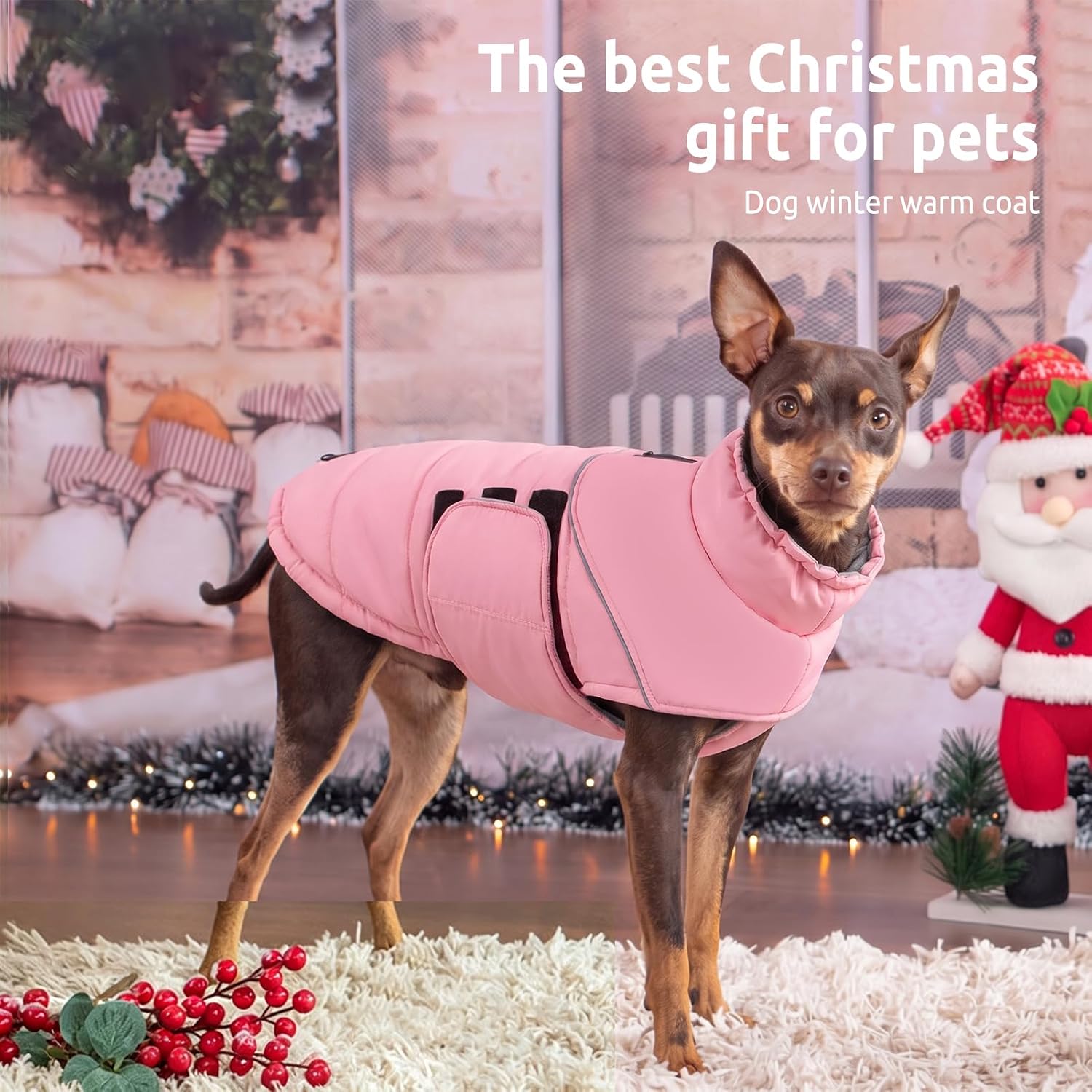 Thumbnail 4 de Peferhouse Dog Winter Coat, XXXX-Large