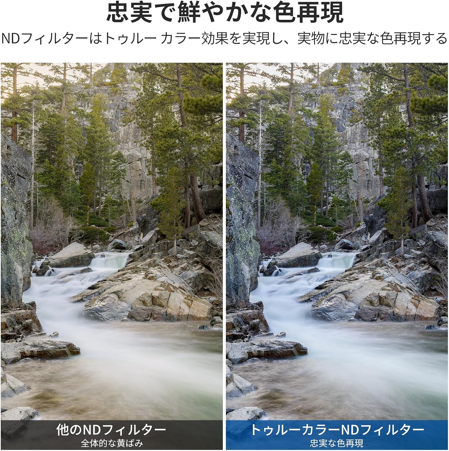 Detalle de NEEWER 43mm トゥルーカラー可変NDフィルター ND2-ND32・CPL一体型