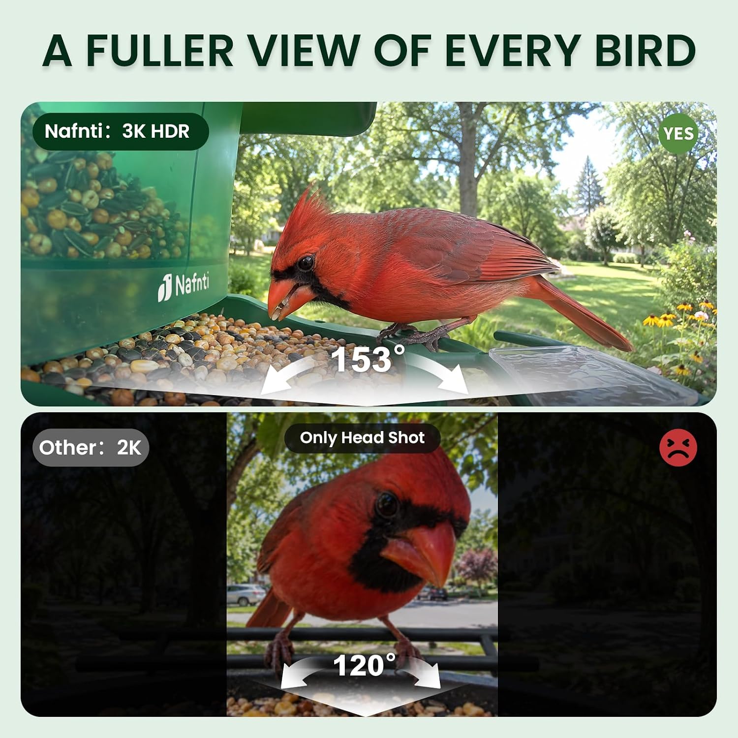 Thumbnail 2 de Smart Bird Feeder Camera 2.5L