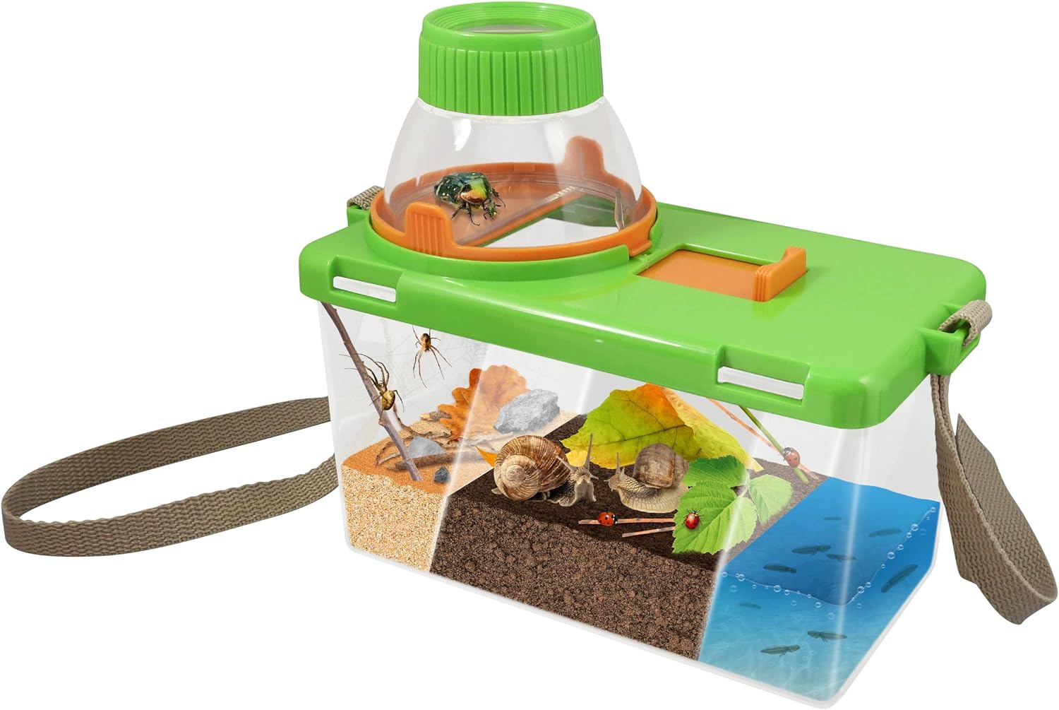 Thumbnail 6 de BUKI BL034 – Terrarium: Beobachtungs-Set für kleine Lebensräume