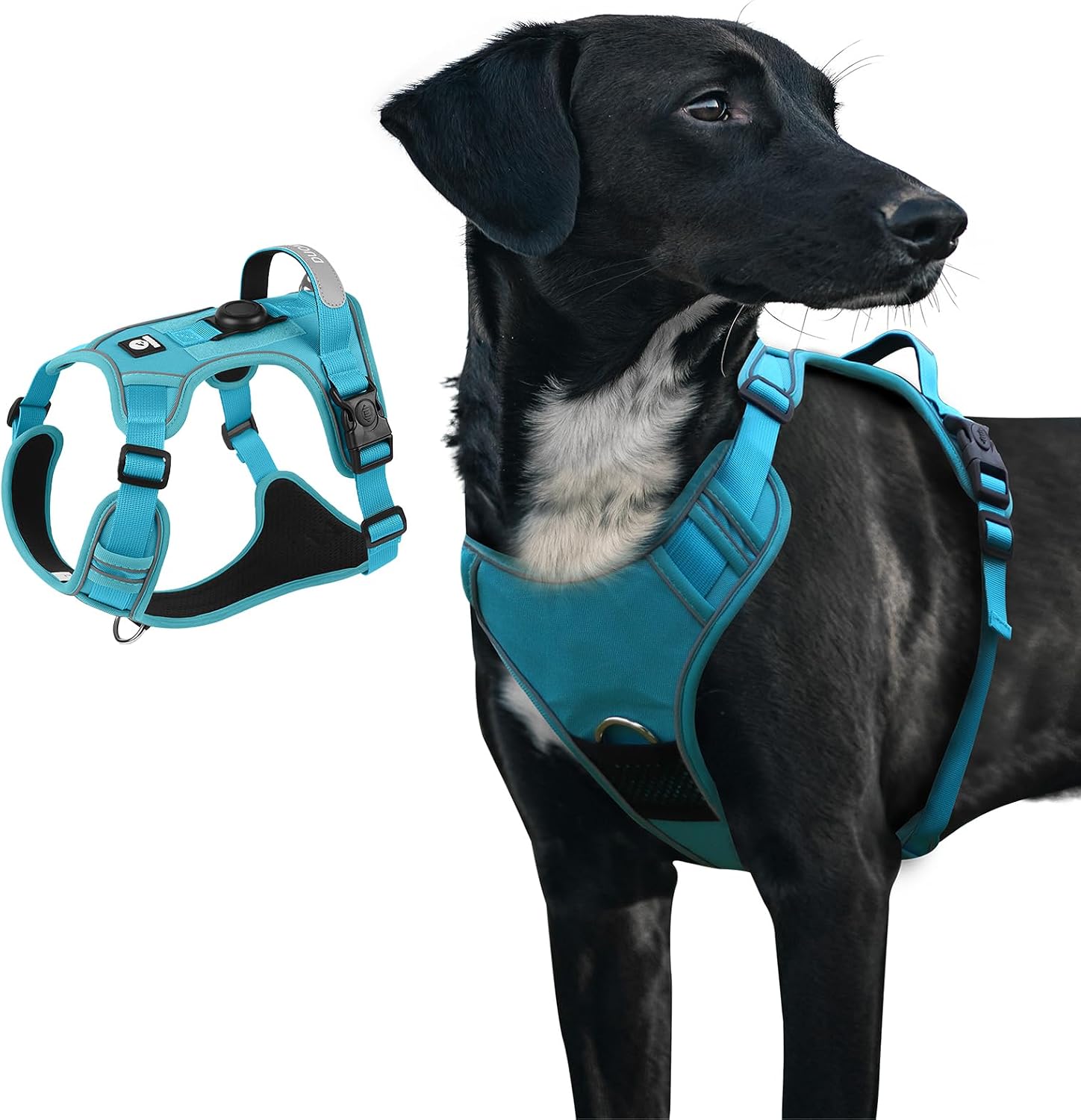 Detalle de Dog Harness, Size L