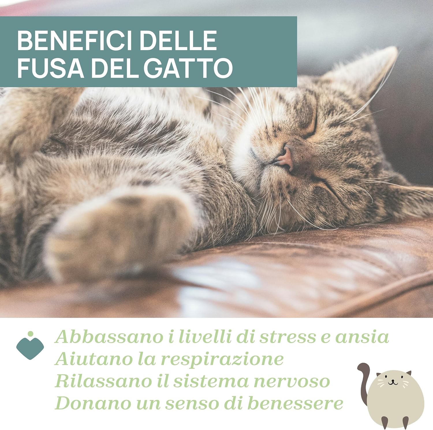 Thumbnail 3 de Chicco Gattino Dolci Fusa – Peluche elettronico interattivo che ronrona e riproduce vibrazioni e musica classica