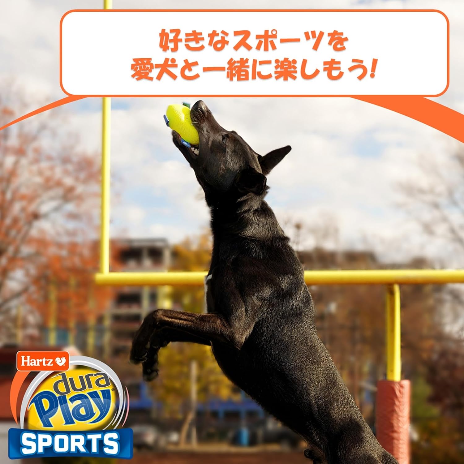 Thumbnail 4 de Hartz デュラプレイ SPORTS アメフト型犬用おもちゃ｜ラテックス素材・鳴き笛付き・水洗い可能