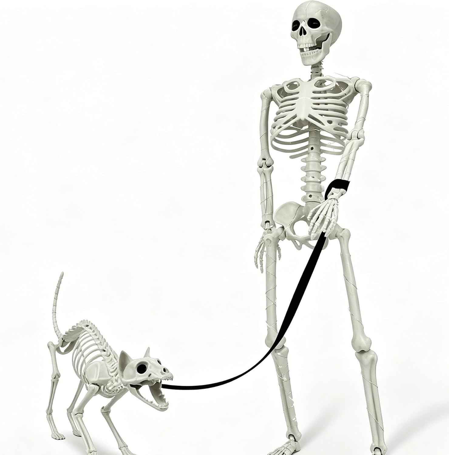 Detalle de IDEAALS SHC Lighted Human and Cat Skeleton Halloween Decorations, 3-Foot Set