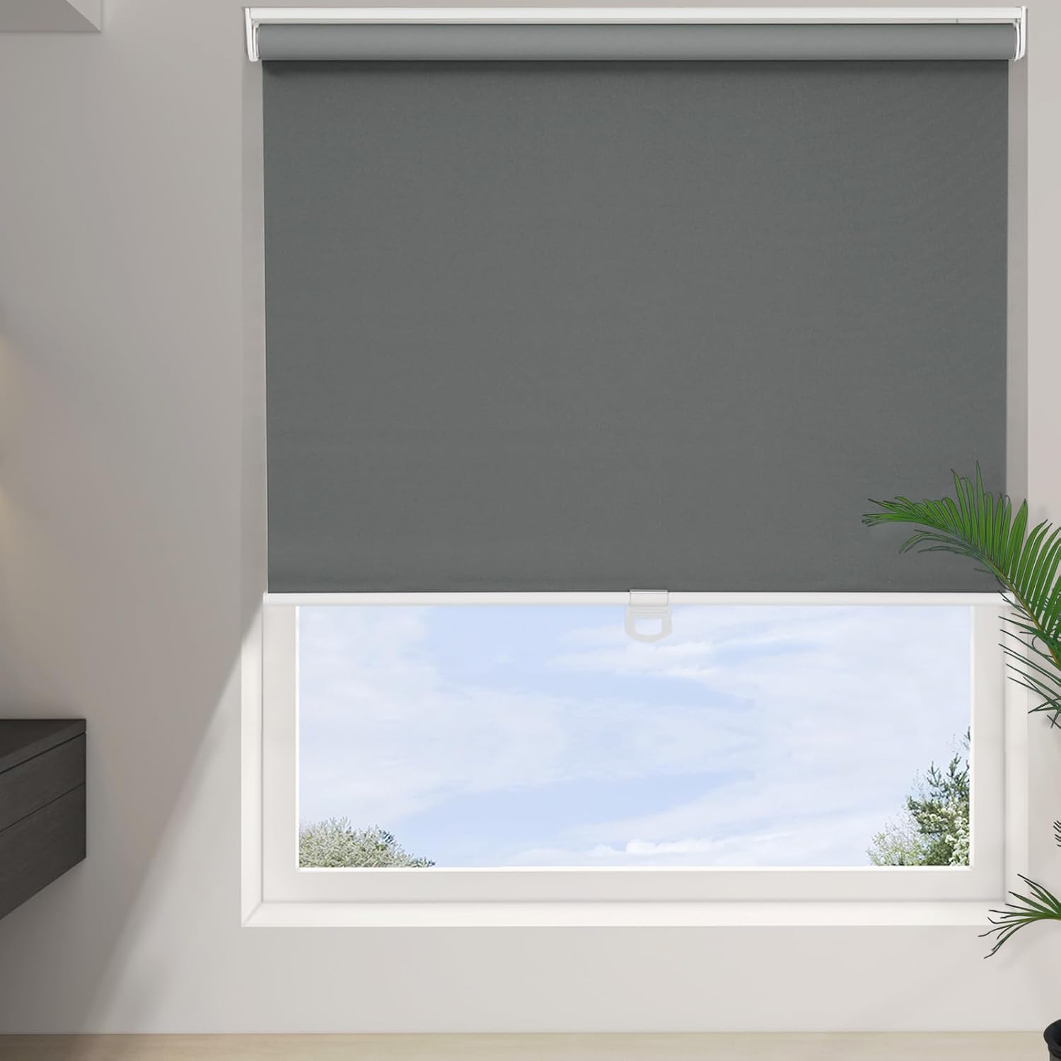 Detalle 2 de Changshade Blackout Roller Shade, 39" x 72