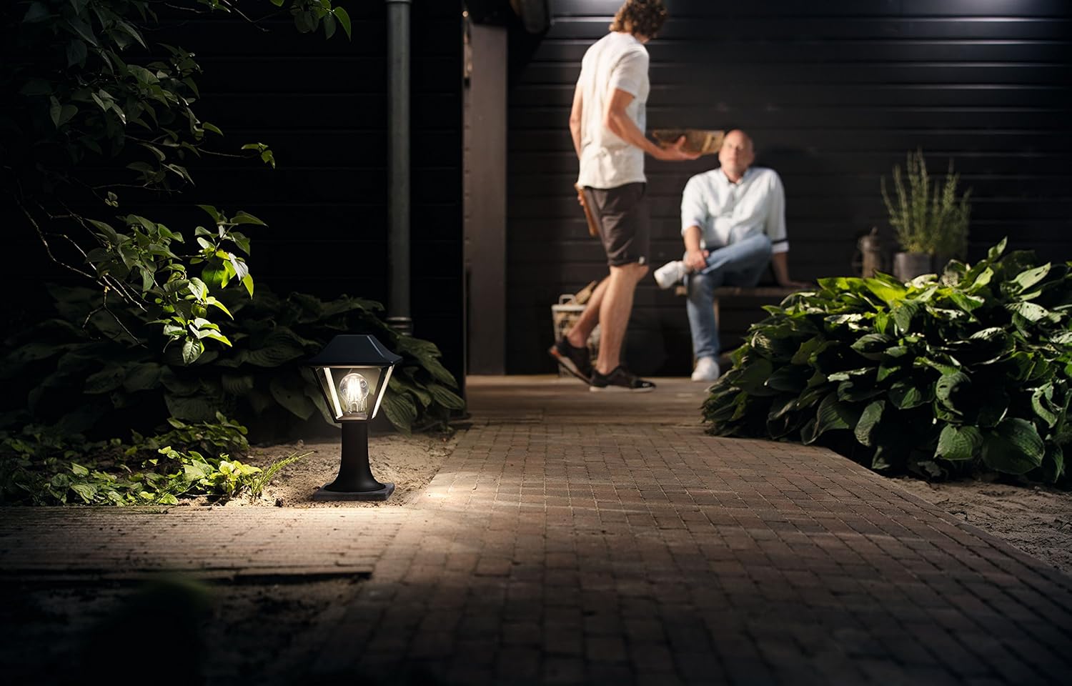 Detalle 2 de Philips myGarden Alpenglow - Lámpara exterior casquillo E27 🌙