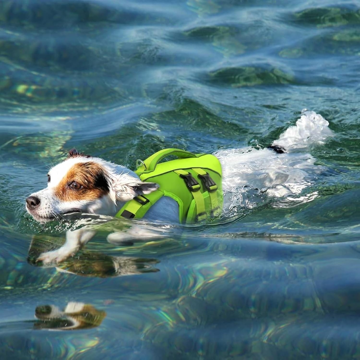 Detalle 2 de Queenmore Large Dog Life Vest: Reflective, Adjustable & Easy Rescue Handle (XXL, Red)