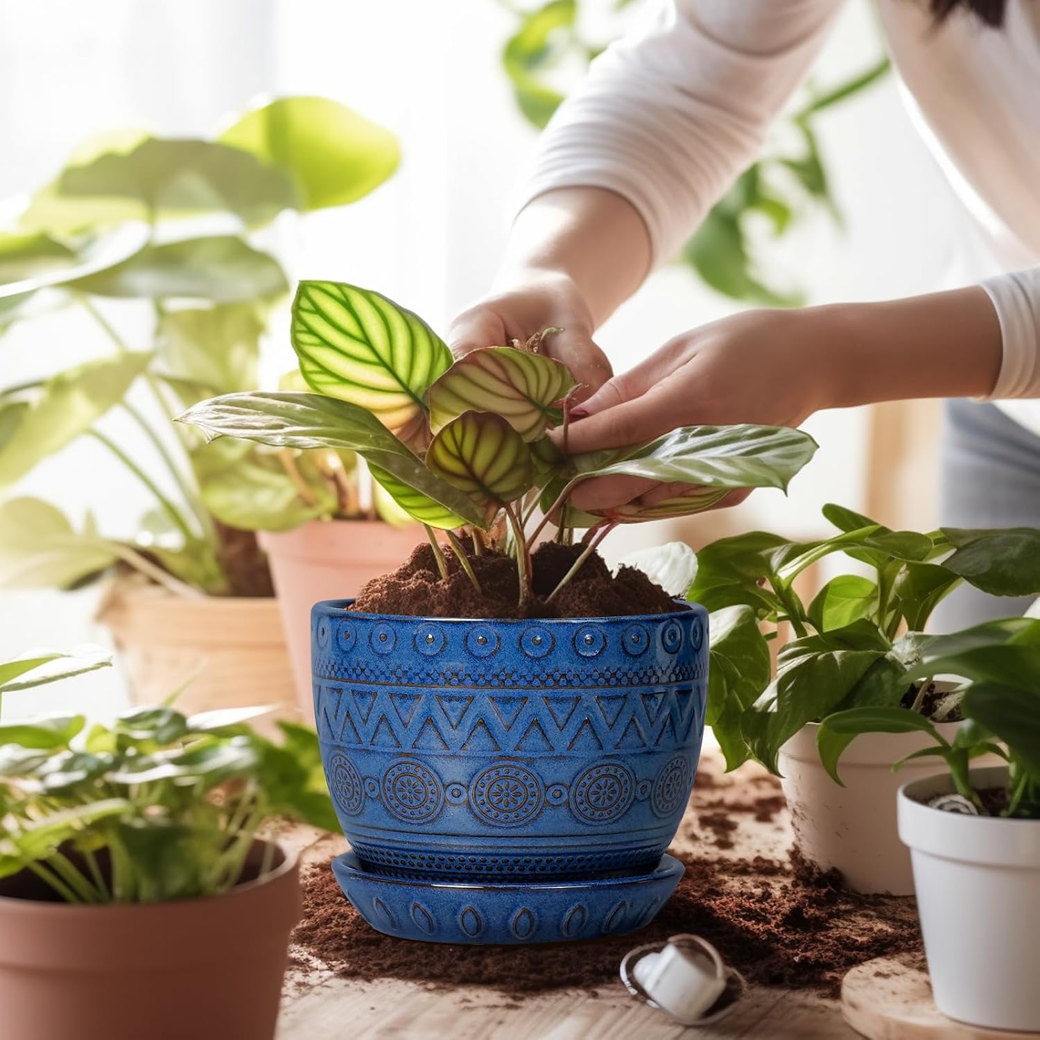 Detalle 2 de EPGardening Ceramic Planter, 5-Inch