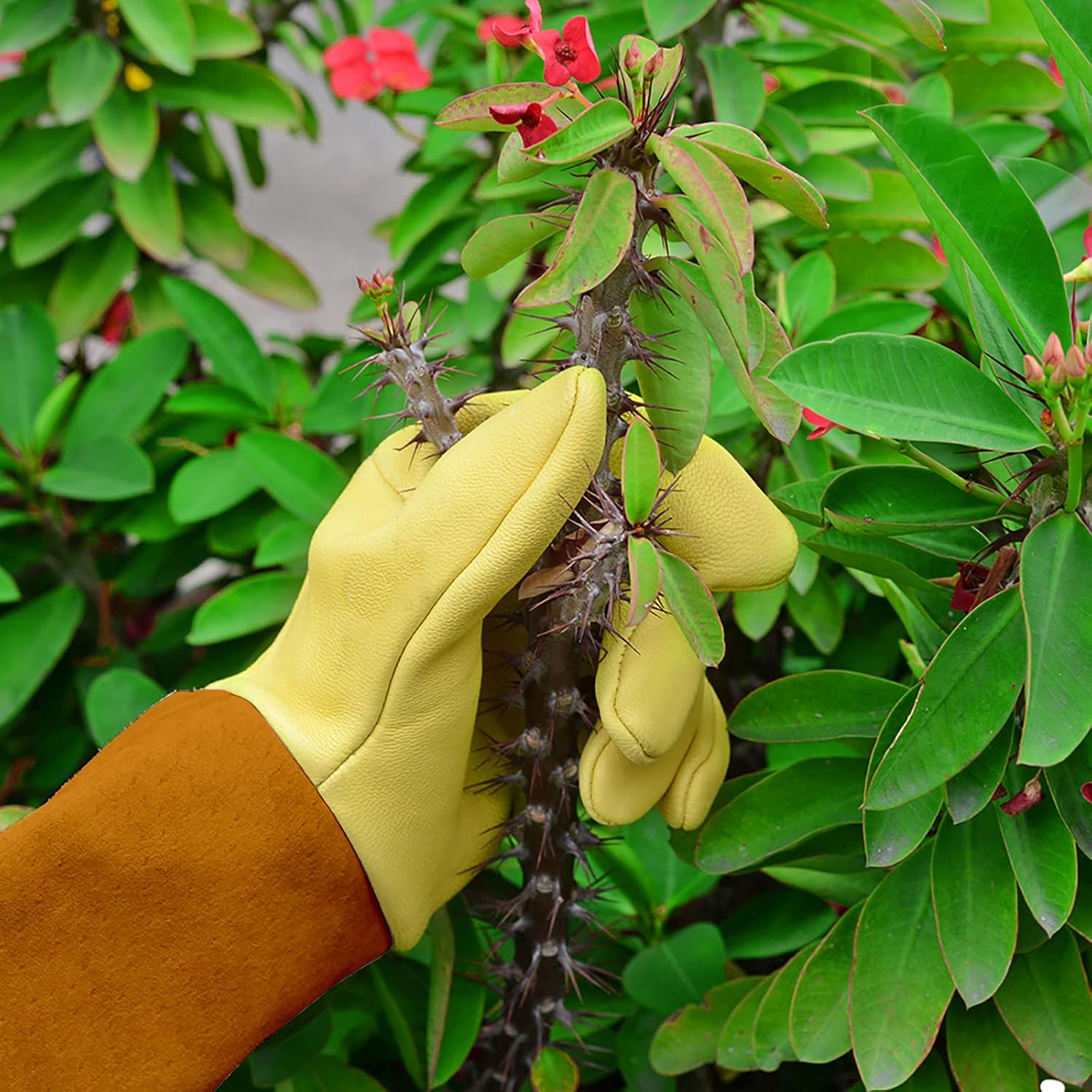 Detalle de Heavy duty thorn proof gardening gloves