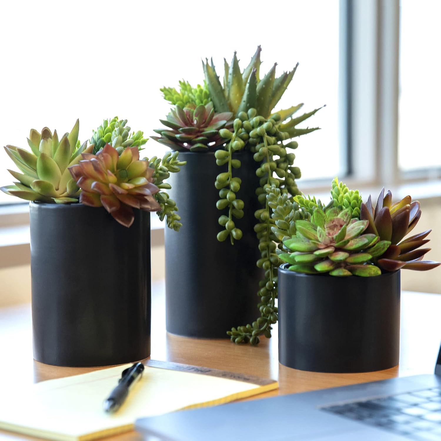 Detalle de SEEKO Artificial Succulent Plants, 3-Pack