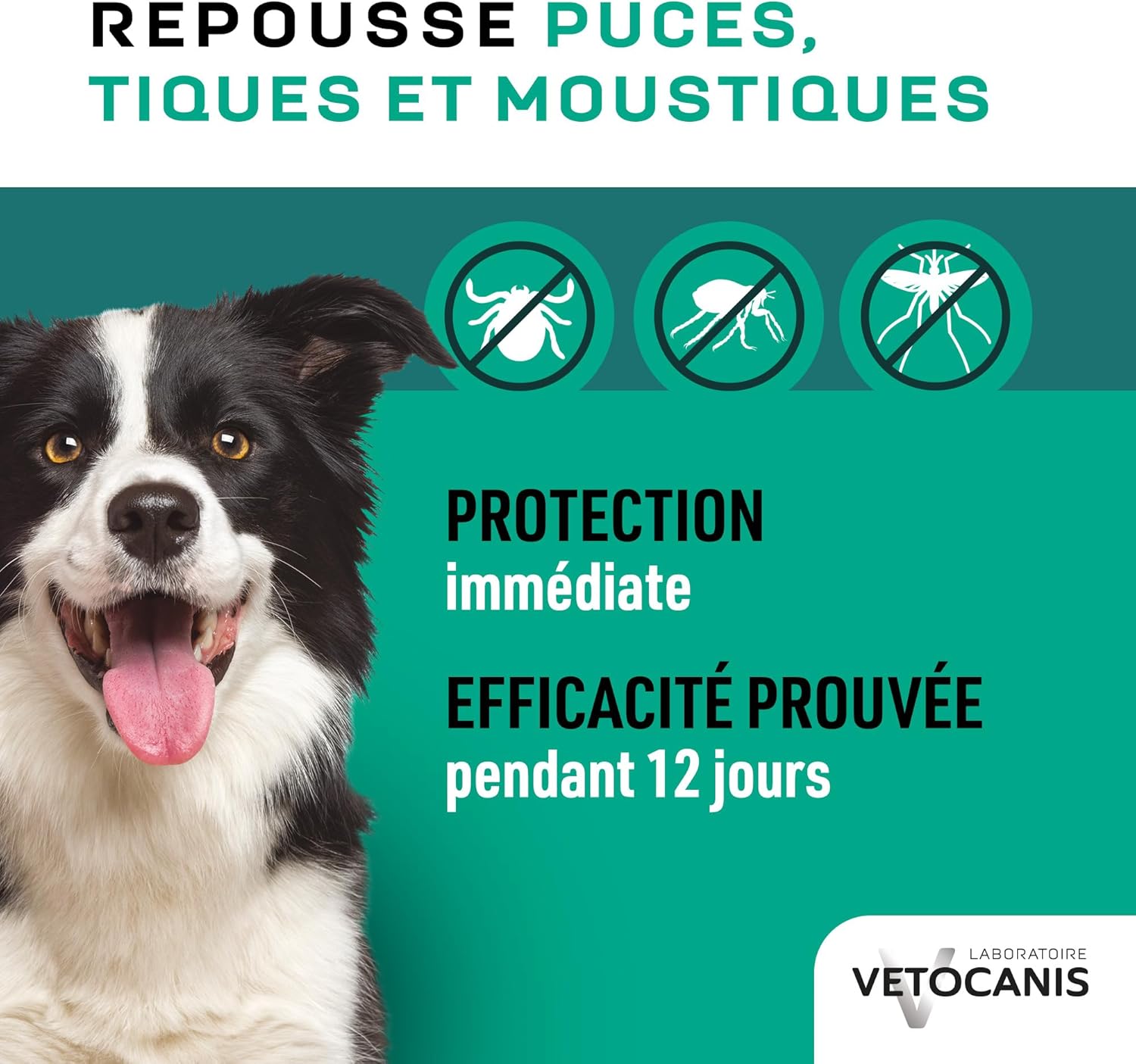 Detalle 2 de Vetocanis Spray anti-puces, anti-tiques et anti-moustiques pour chien – 500 ml, protection jusqu’à 12 jours