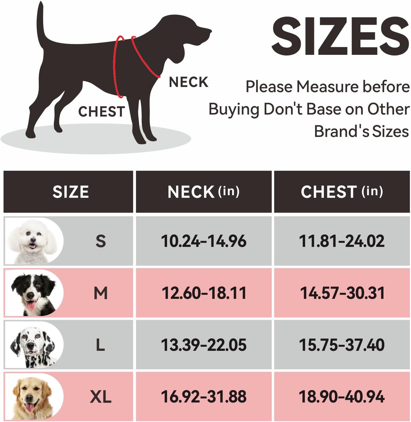 Thumbnail 4 de PHOEPET No Pull Dog Harness with Reflective Strips – Adjustable Vest for Small to Large Dogs