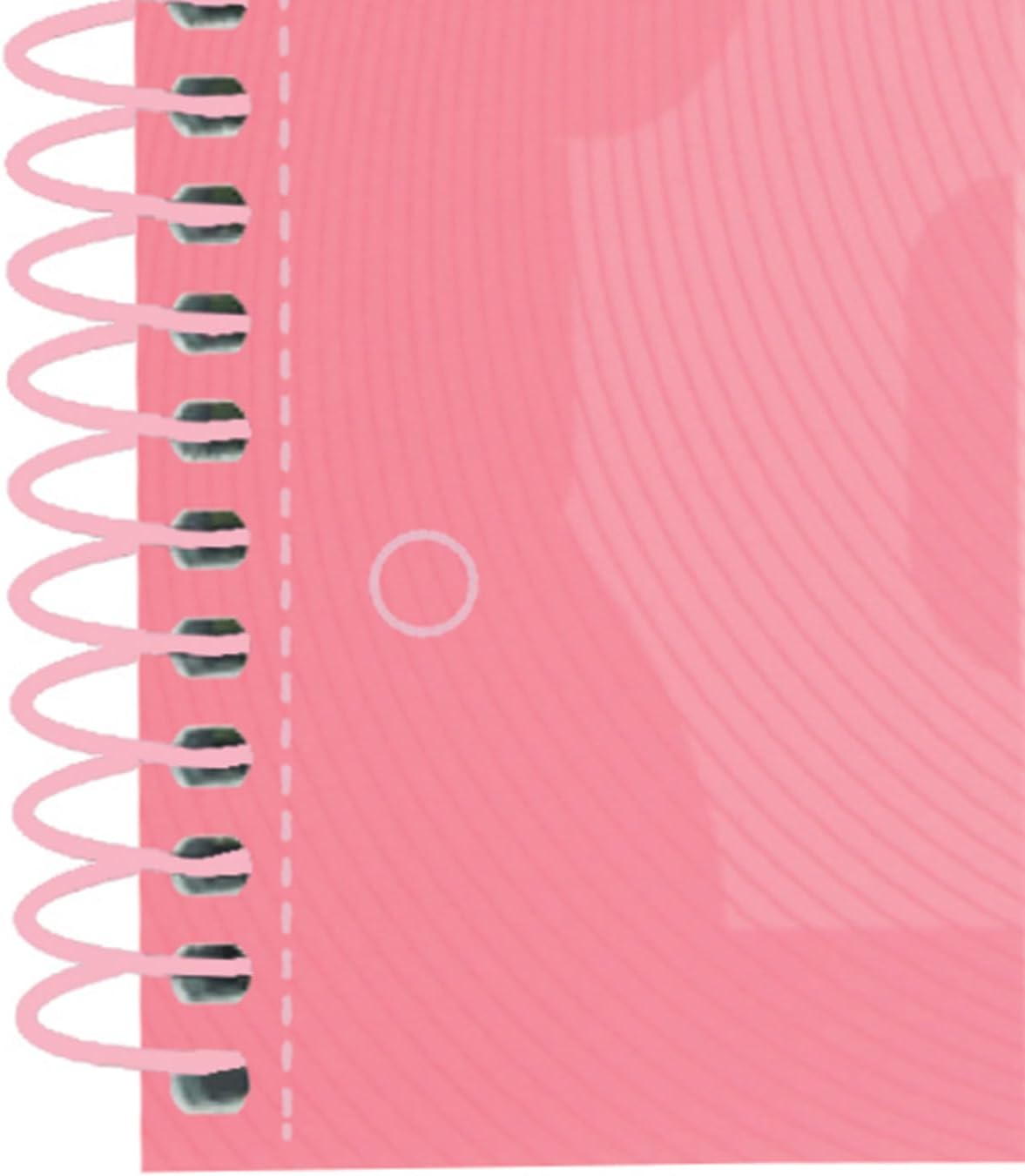 Thumbnail 2 de Oxford European Book 1 A4 kariert – 160 Seiten, Touch Hardcover in Rosa