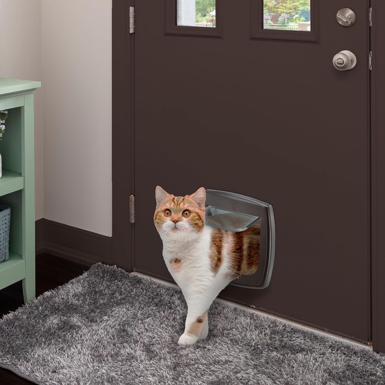 Thumbnail 2 de Ferplast Swing 3 Puerta para Gatos y Perros Pequeños 🐾