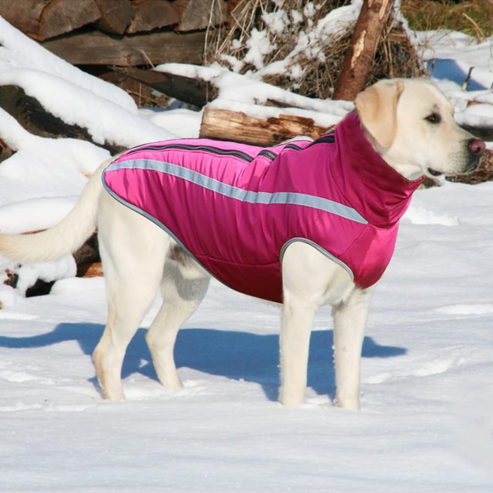 Detalle de FEimaX Dog Coat: Waterproof, Windproof, Fleece-Lined Jacket with Harness Hole for All Sizes