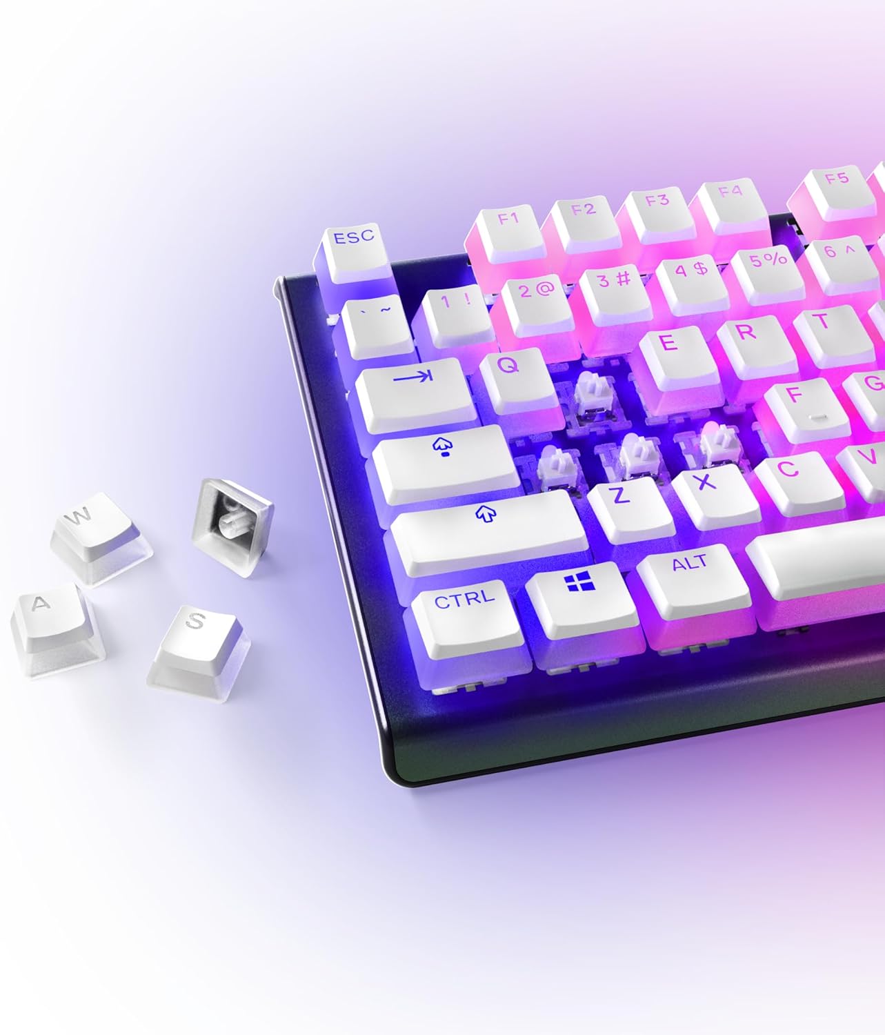 Thumbnail 1 de SteelSeries PrismCaps Copritasti Pudding MX