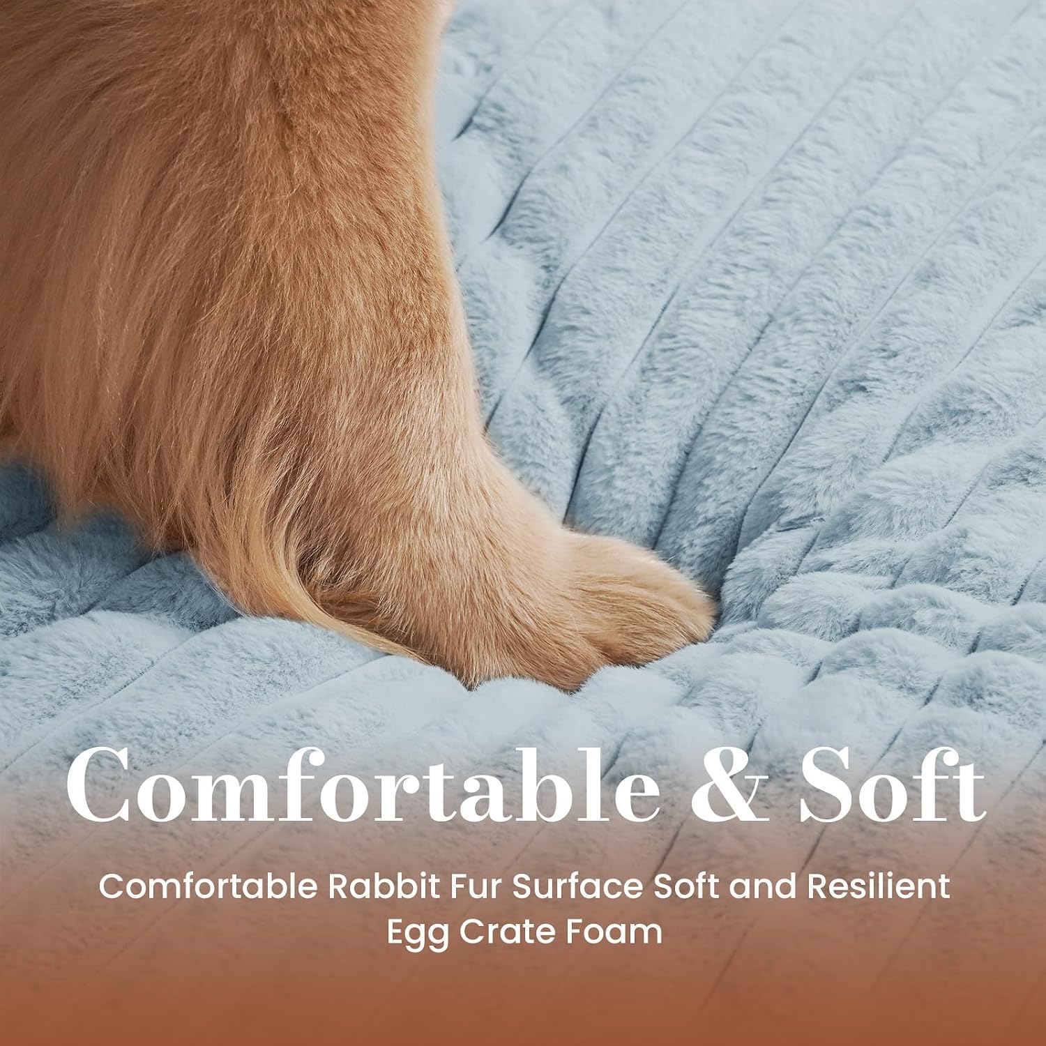 Detalle 2 de Cozila Medium Orthopedic Dog Bed, Egg-Crate Foam, Waterproof Lining