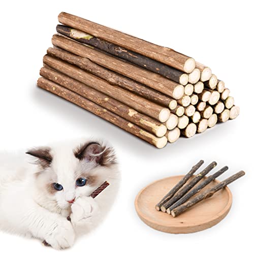Thumbnail 7 de OSDUE Palitos de Hierba Gatera para Gatos — 32 Palitos 100% Orgánicos