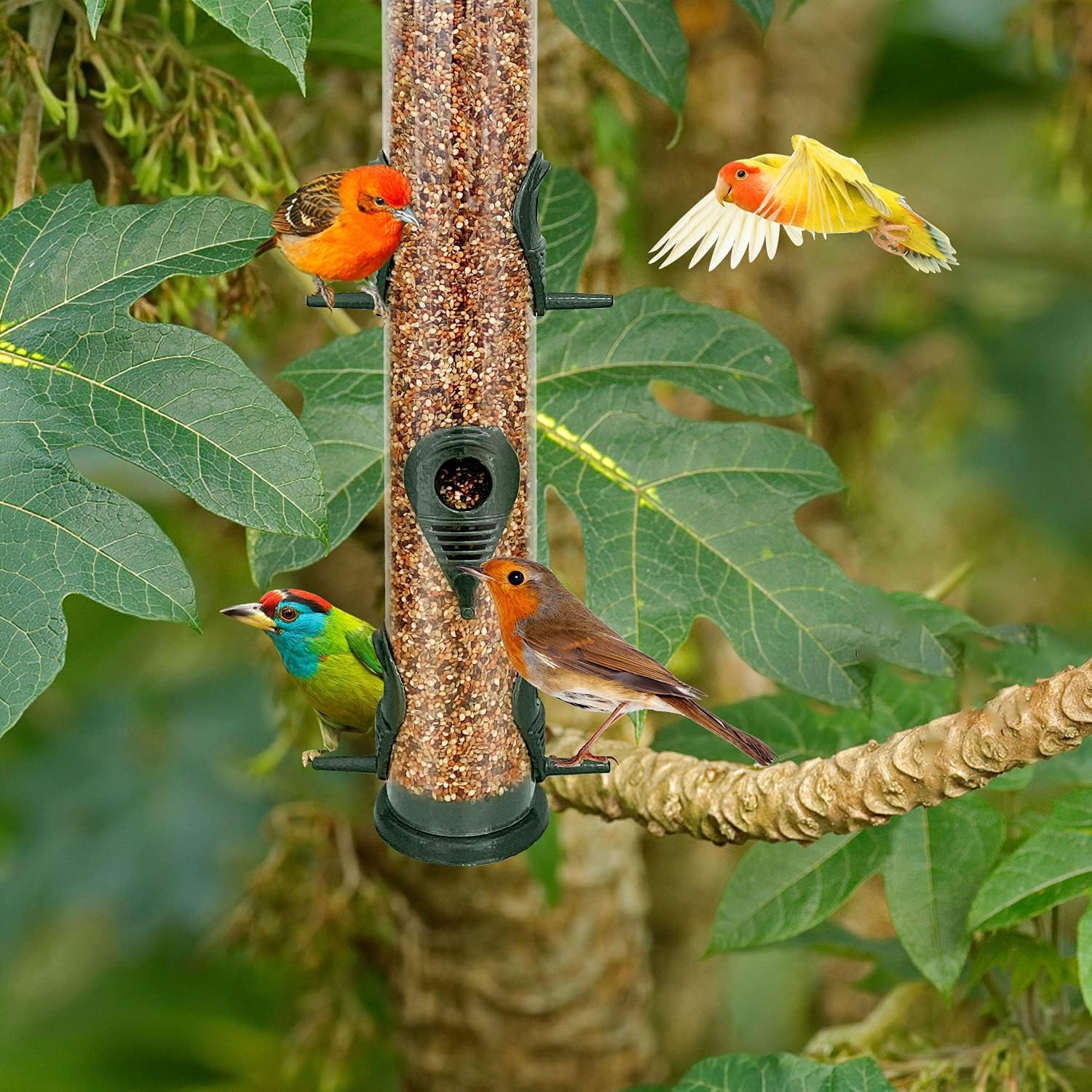 Thumbnail 3 de Metal Bird Feeder Tube Hanging Feeders (6 Port) Weatherproof Metal Tube Seed Feeder with Steel Hanger – Green