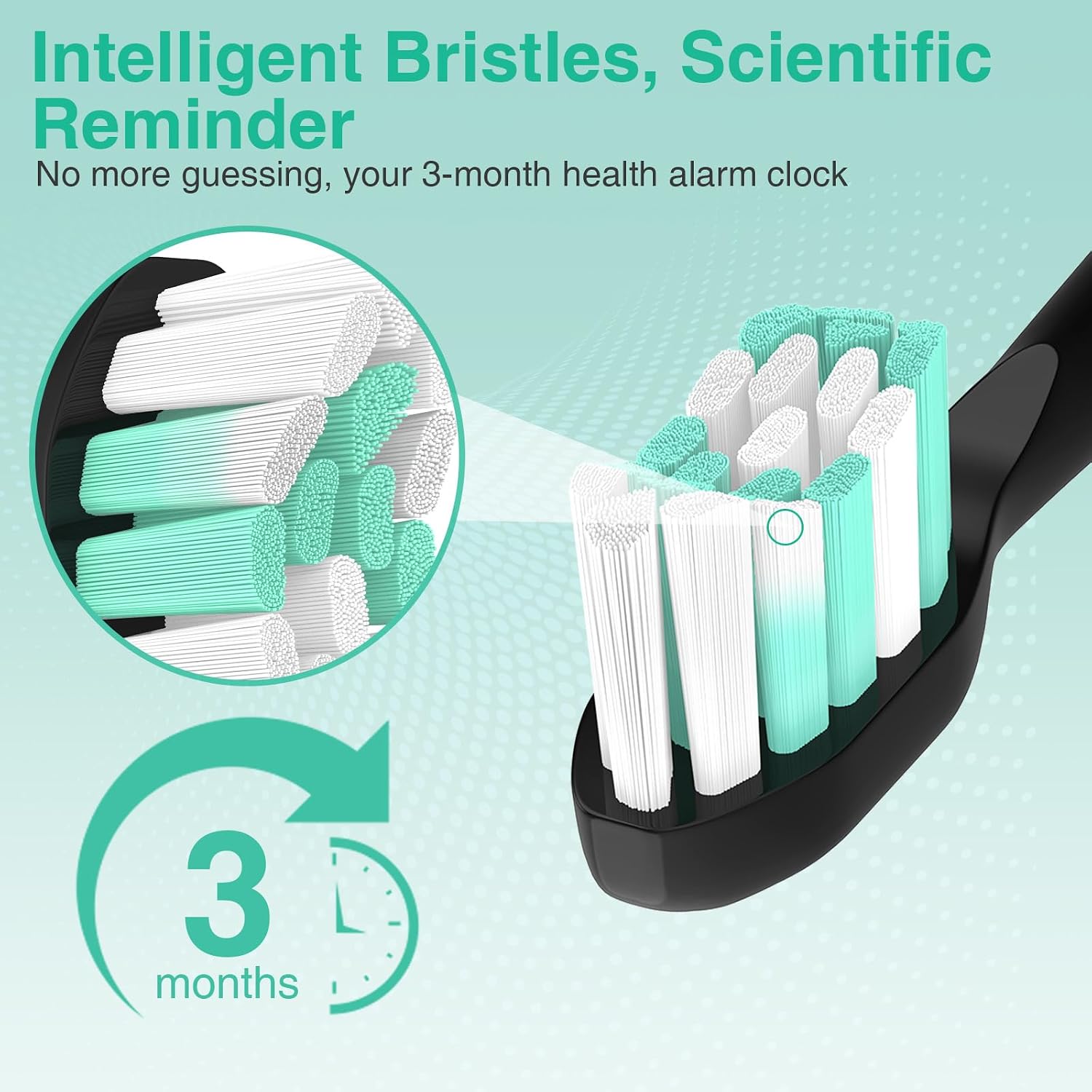 Detalle de Aoremon Replacement Toothbrush Heads C2/W