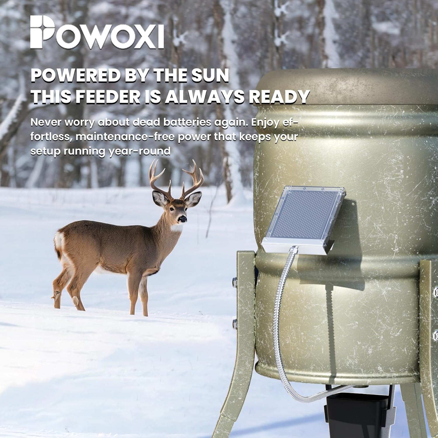 Detalle 2 de POWOXI 12V Solar Panel for Deer Feeder ⚡