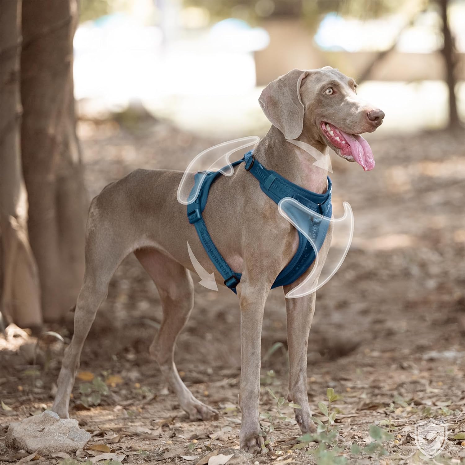 Thumbnail 6 de Sunraymascota Hundegeschirr mit weicher Lycra-Polsterung und Mesh-Komfort (Preußisch Blau, XS)