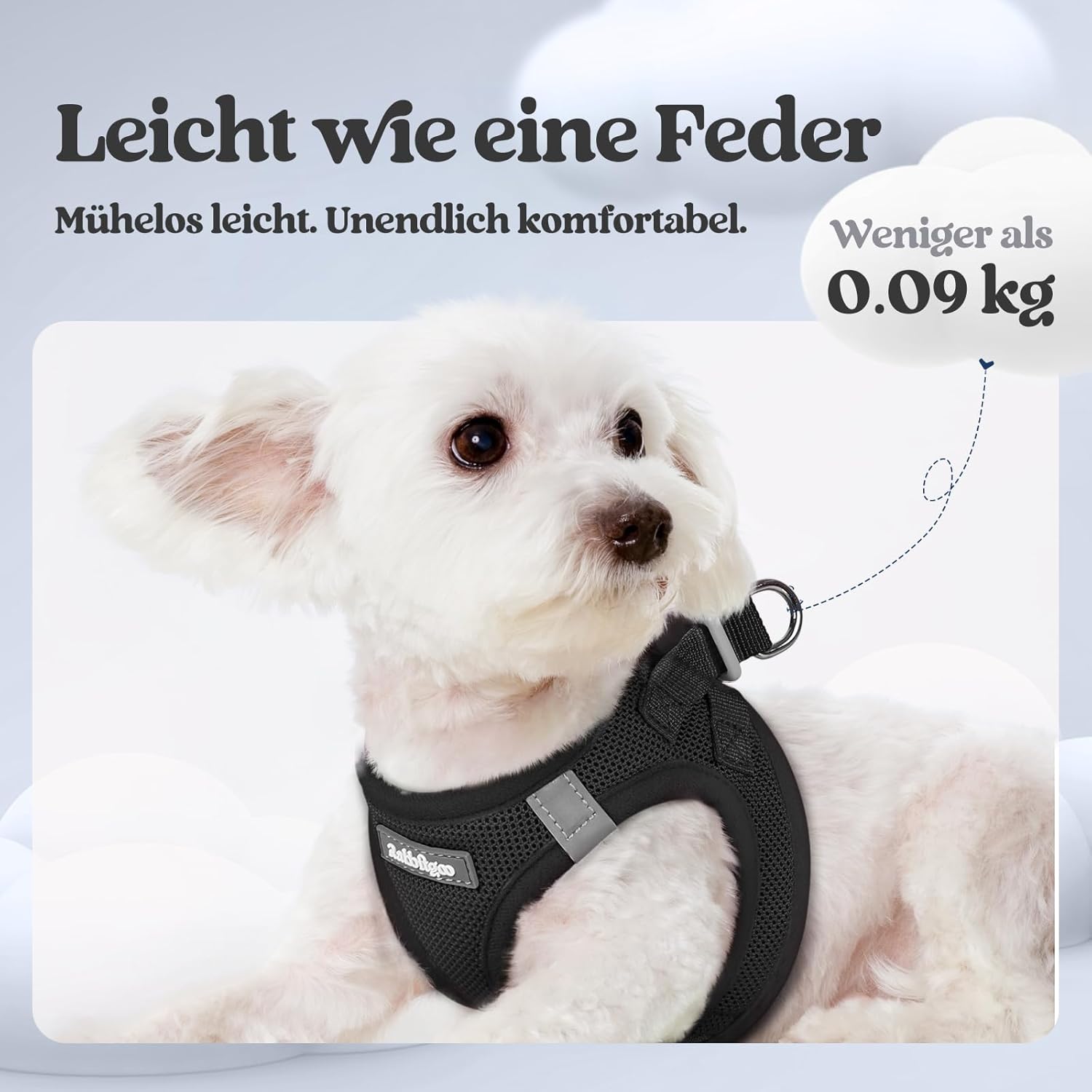Detalle de Rabbitgoo Hundegeschirr S mit Leine 1,56 m