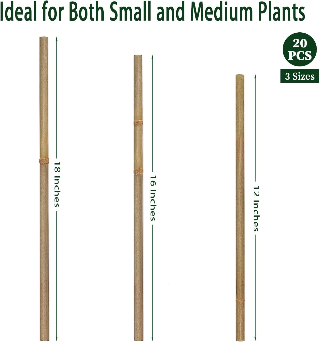 Detalle de BOVITRO XS-ZG-44.5 Bamboo Plant Stakes, 18-Inch, 20-Pack with Green Ties