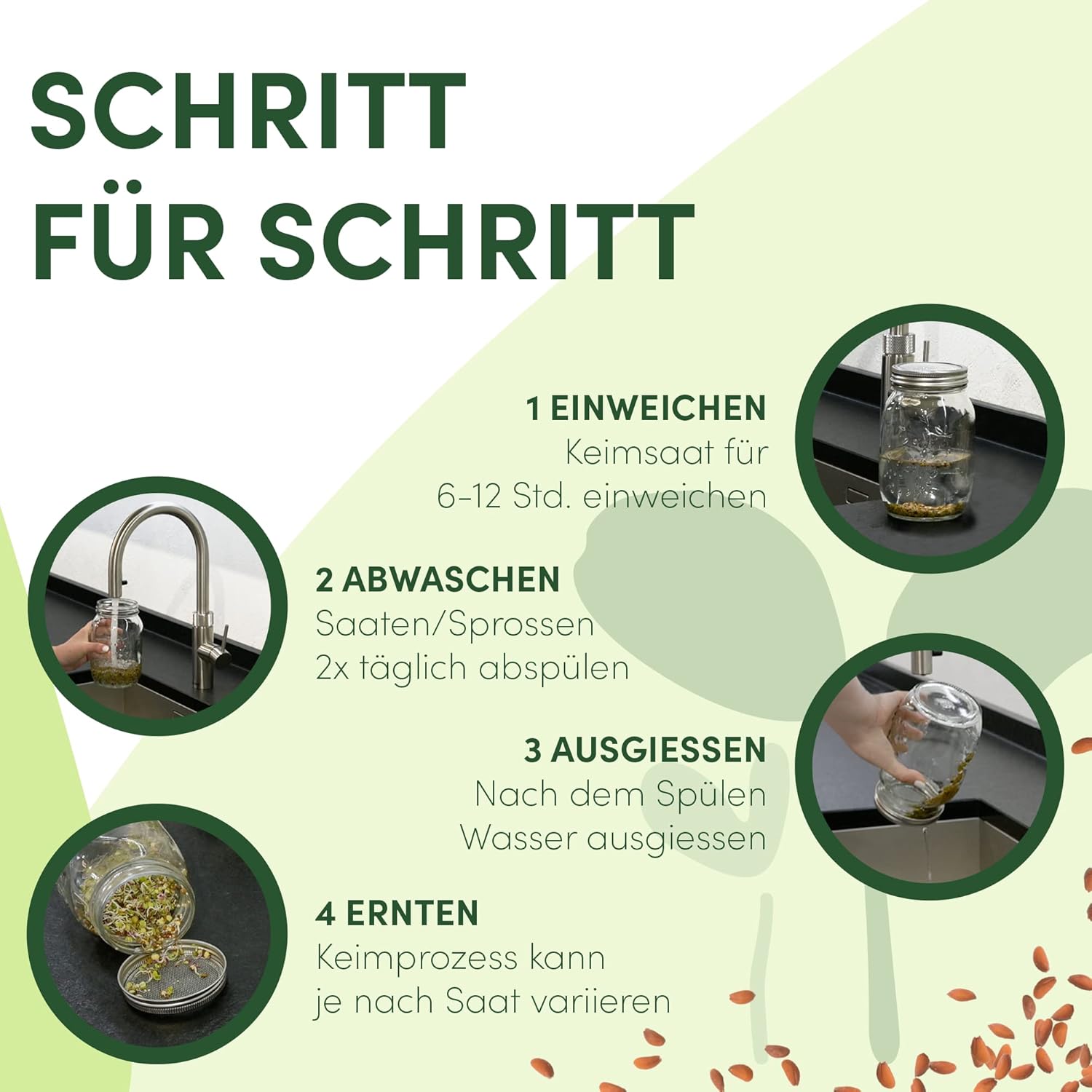 Thumbnail 4 de Green SEEDS Sprossglas Starter-Set 1000ml