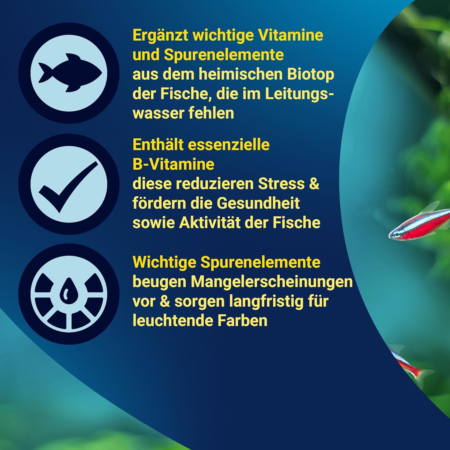 Detalle de Tetra Vital – Vitamine und Mineralstoffe für mehr Vitalität und Farbpracht im Süßwasserbecken (500 ml)