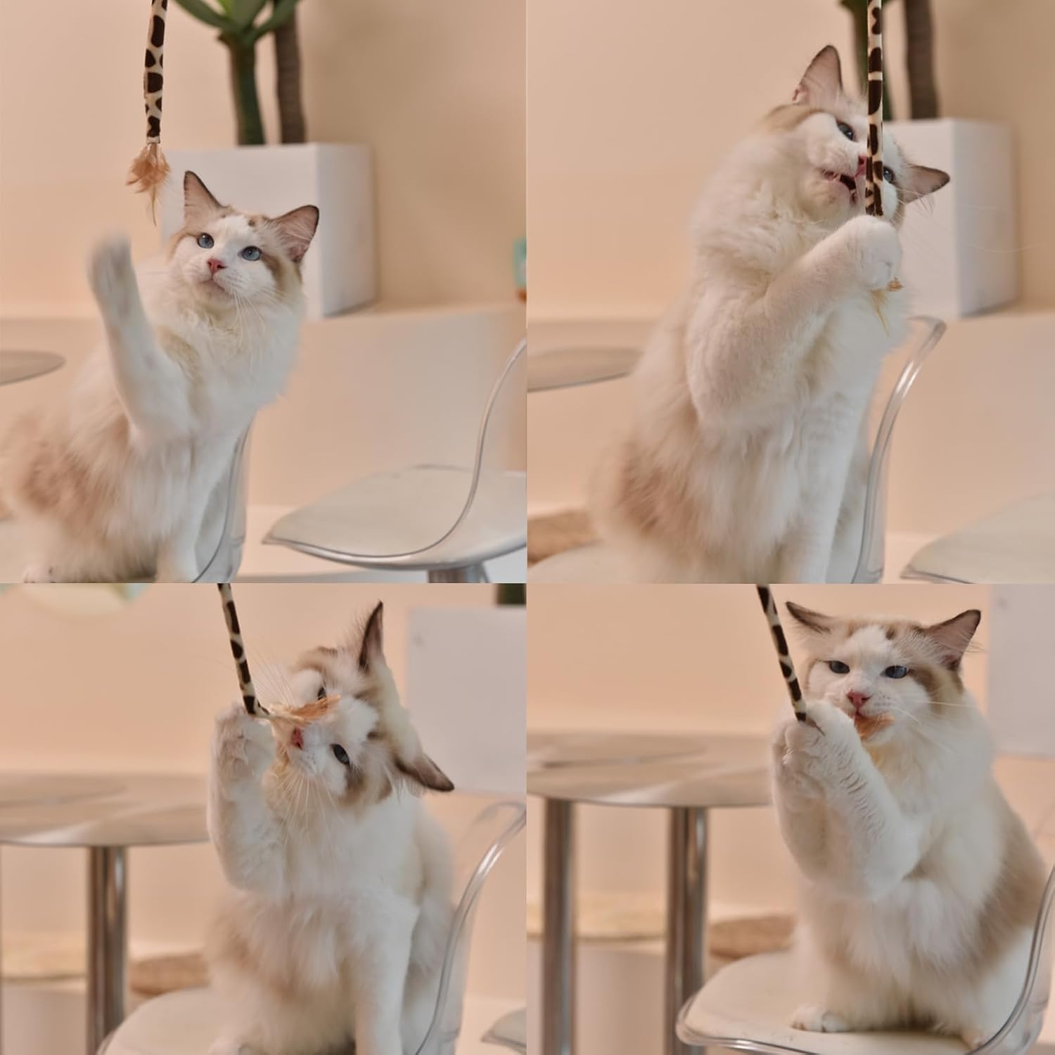 Thumbnail 1 de ACNCN 22 Piece Cat Toys Set (Interactive Indoor Kitten & Cat Play Kit) – 22PCS Black