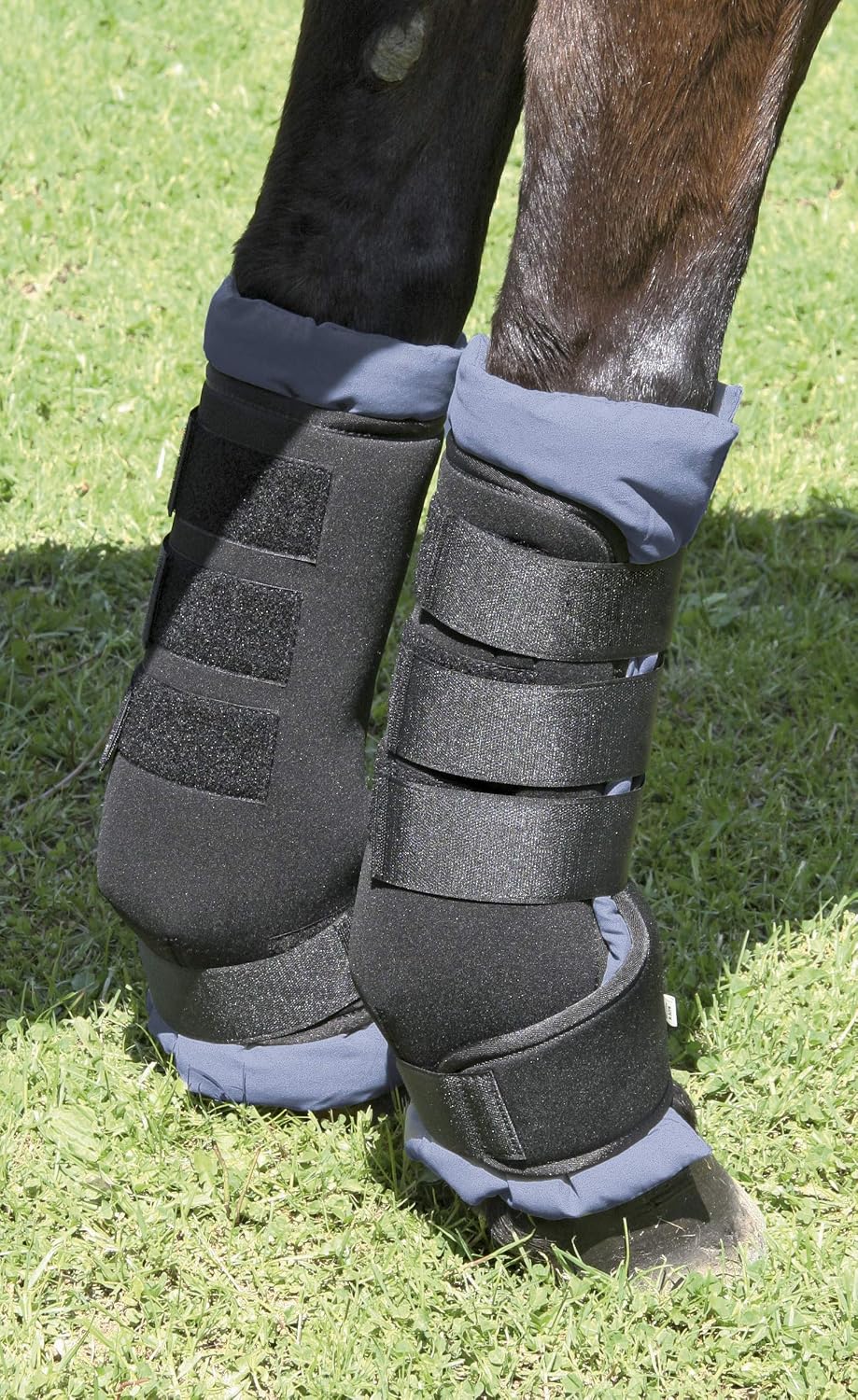 Detalle de Covalliero 4x Stall- und Transportgamaschen, Pferdegamaschen, schwarz, Größe L