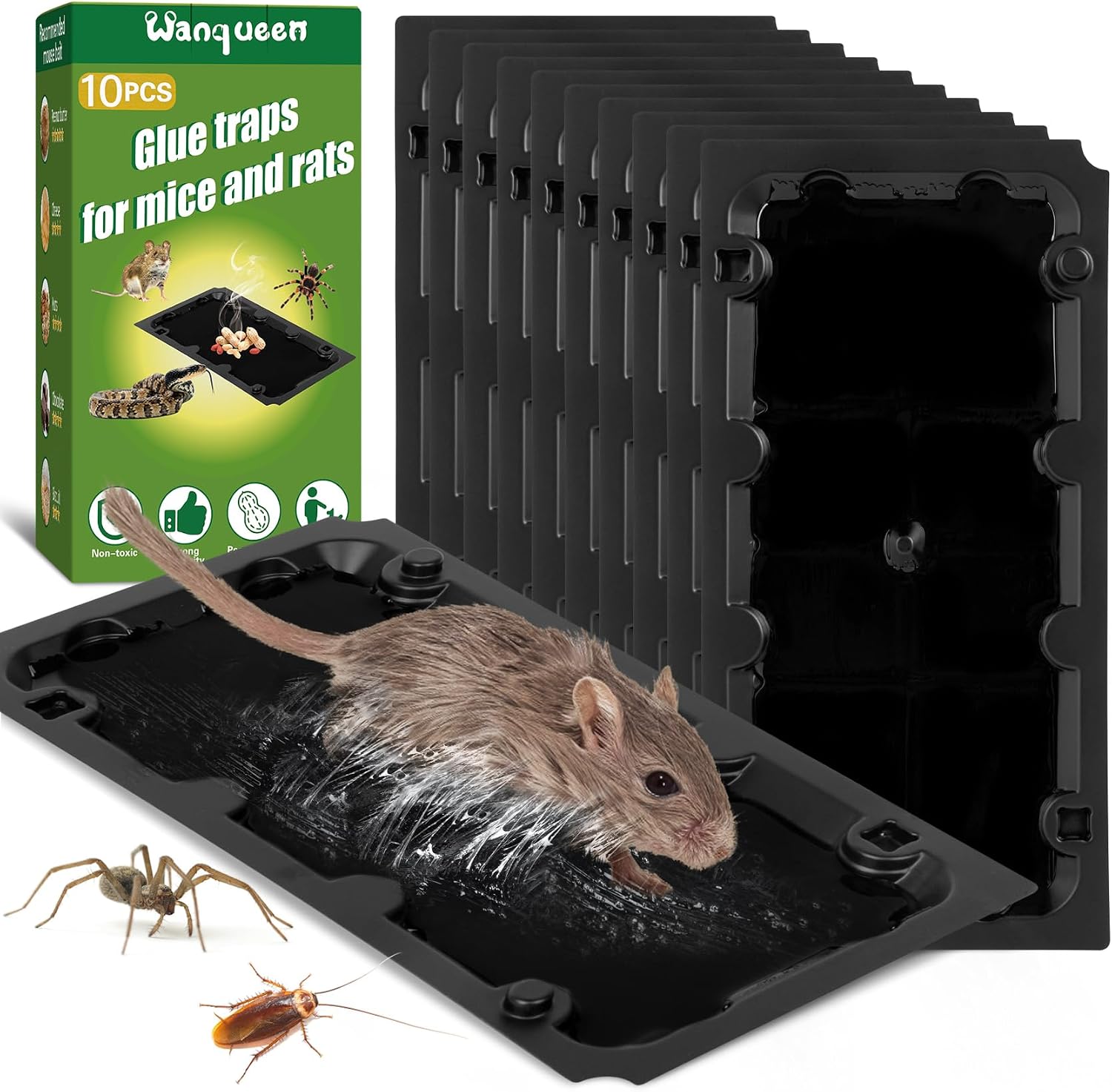 Wanqueen 01 Sticky Glue Traps, 10-Pack, 10 x 5-Inch Peanut-Scented