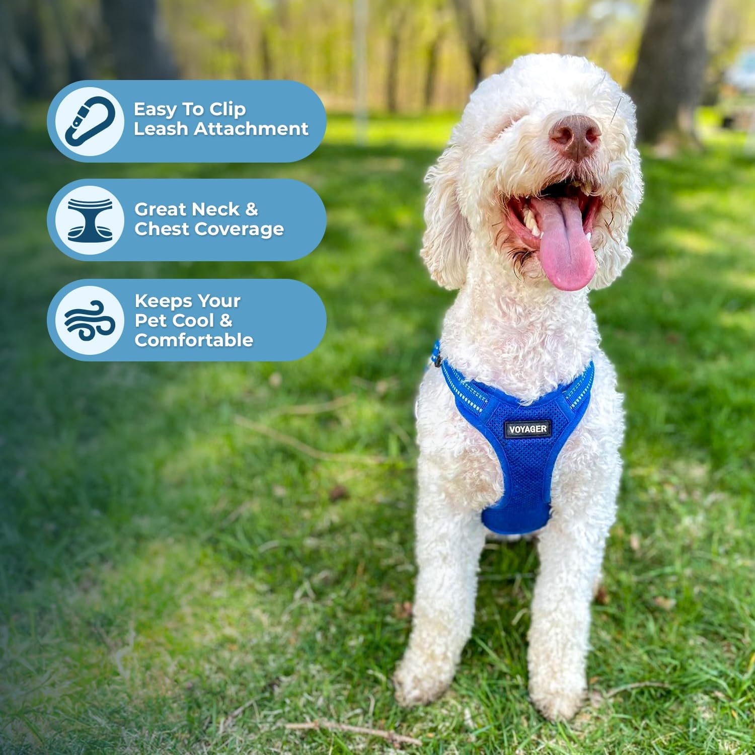 Detalle de Best Pet Supplies Dog Harness, Size S