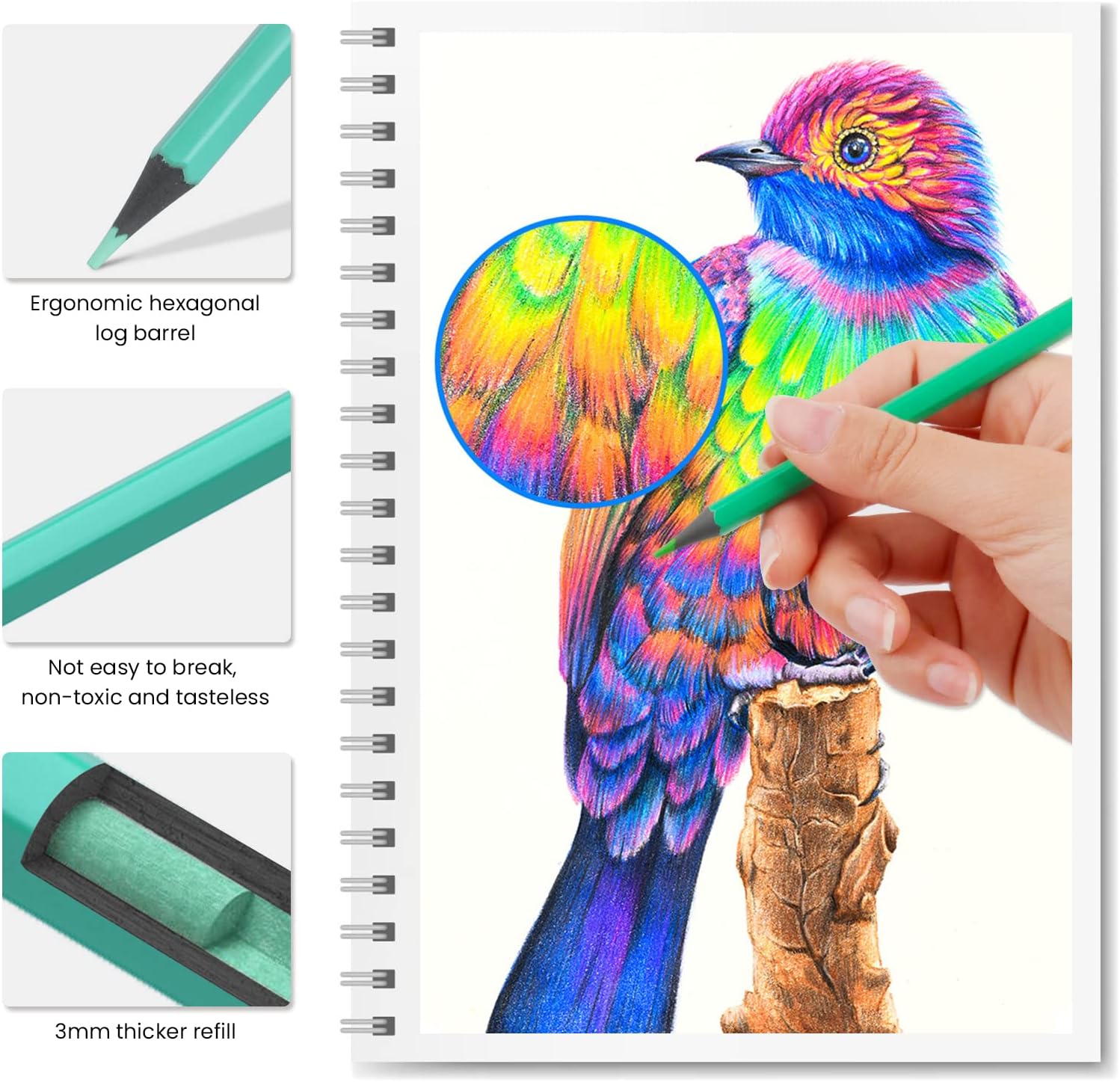 Detalle 2 de Koilox 48 Colours Oil-Based Erasable Pencils