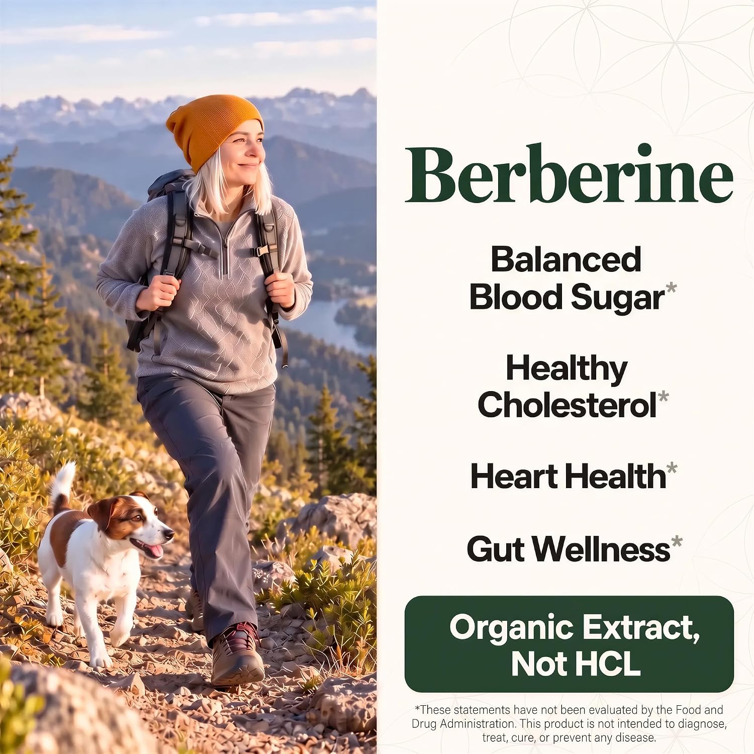 Detalle de Global Healing BER-60 Organic Berberine Supplement, 1200 mg with Ceylon Cinnamon
