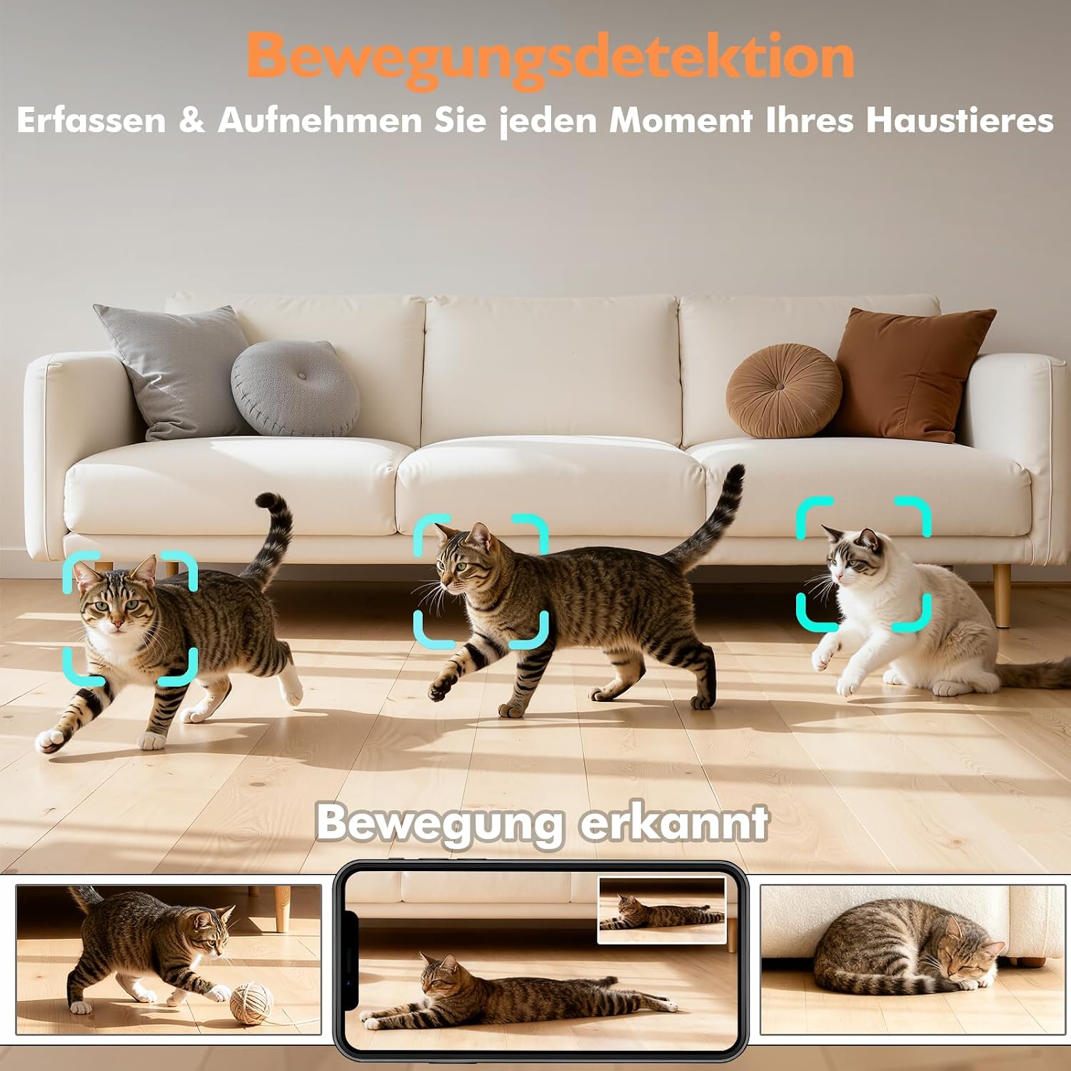 Thumbnail 5 de PETLIV Futterautomat Katze 2 Näpfe mit APP 2K-Kamera