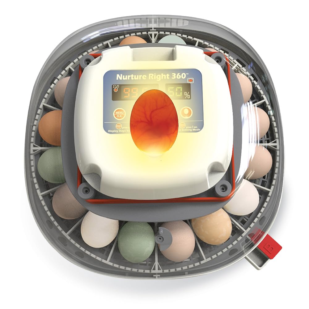 Detalle 2 de Harris Farms Egg Incubator 22-Egg Capacity