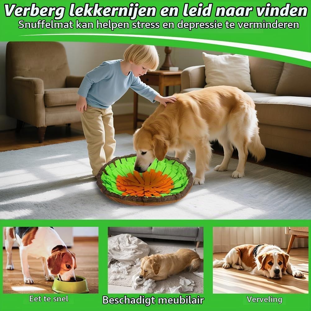 Detalle de AYESY P3-XWDGRE250731-FBA snuffelmat voor honden van vilt, 48 x 48 cm