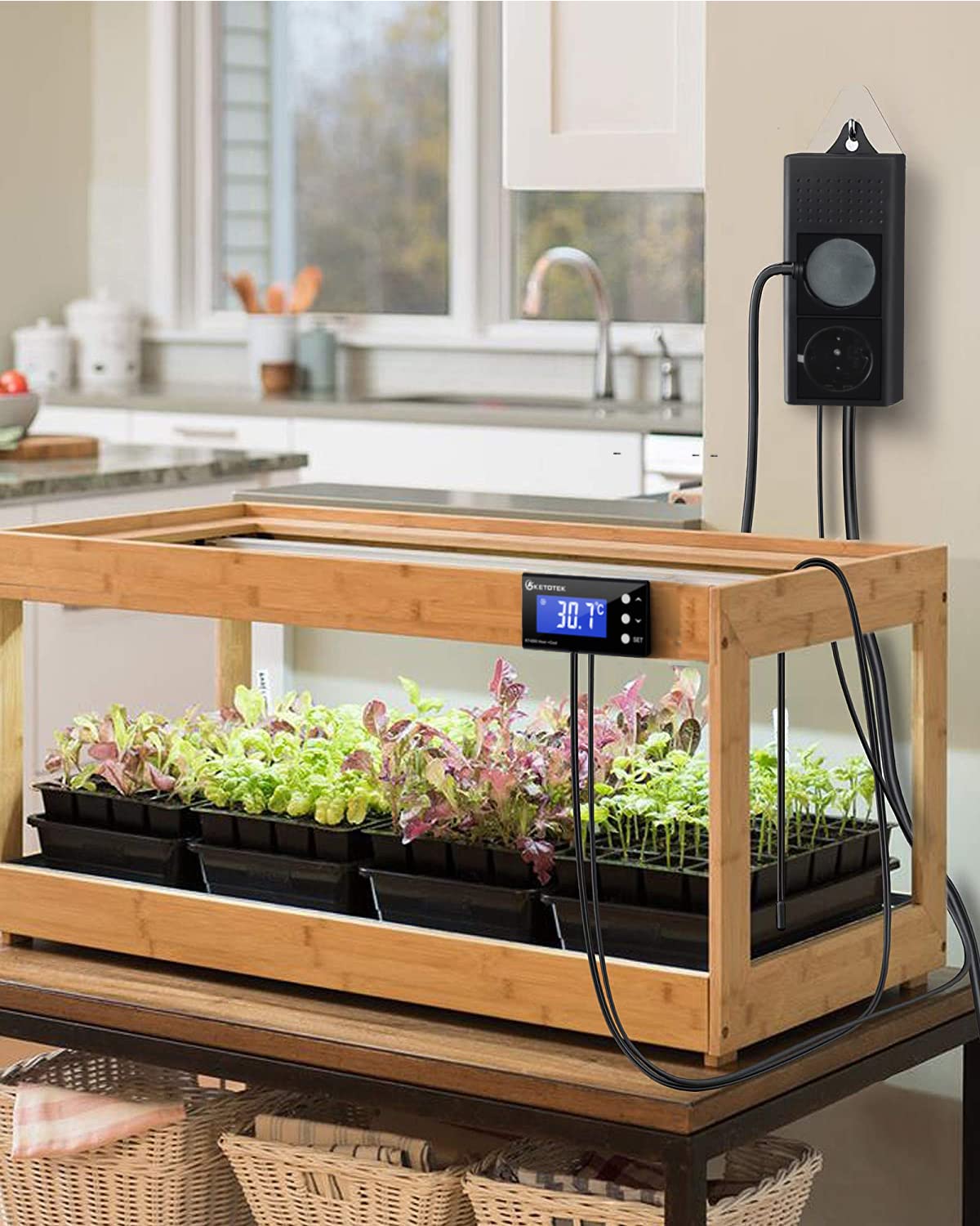 Thumbnail 2 de KETOTEK Termostato presa digitale con sonda 2 m 🔌