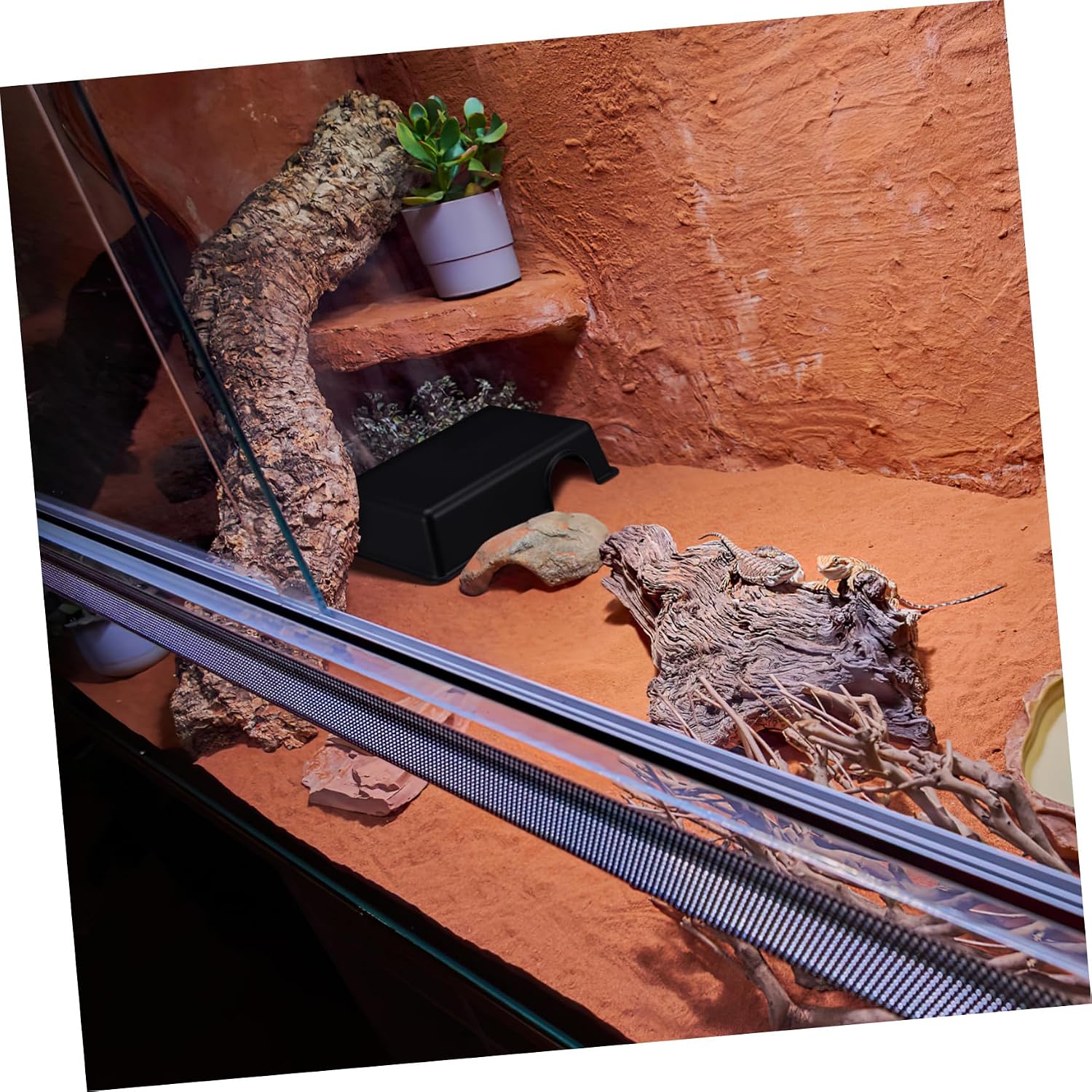Thumbnail 2 de Milisten Reptile Hide Large Plastic Cave Shelter (9.45 x 6.77 x 2.24 inches)