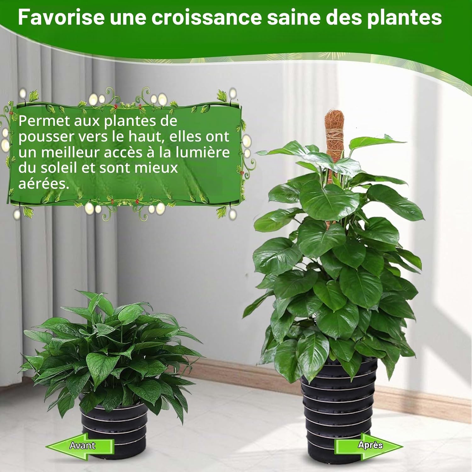 Thumbnail 5 de Yeecka flexibele Monstera-plantenstandaard, set van 2