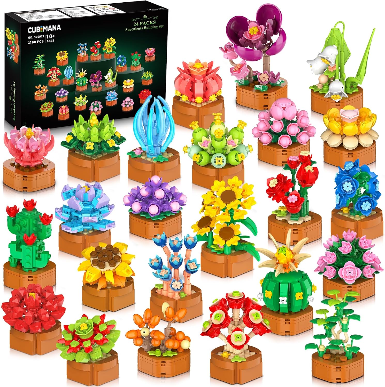 Detalle de 24 Blumen Sukkulenten 3,6MM Mini Bausatz