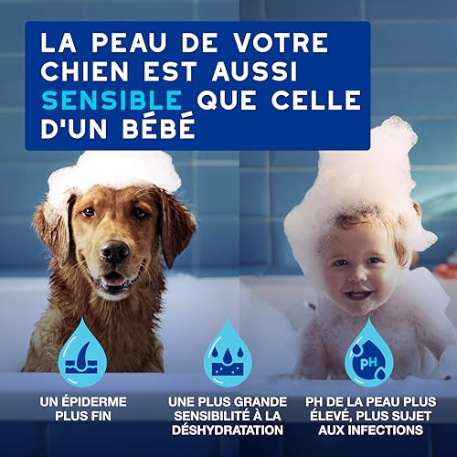 Detalle de DOUXO Skin & Coat Spa Ultra-Safe Mousse sans rinçage pour Chiens – 150 ML