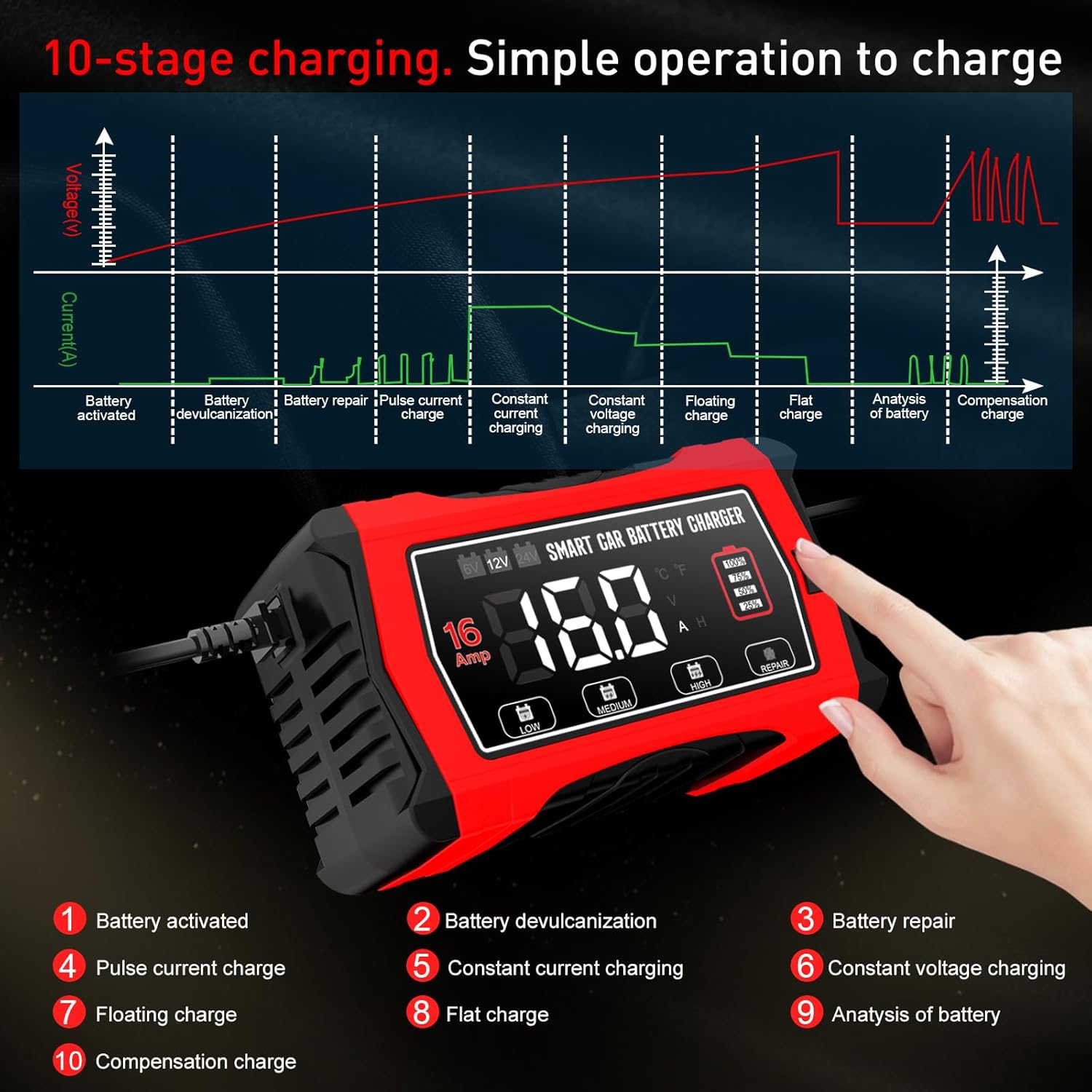 Detalle 2 de 16A 6V 12V 24V battery charger