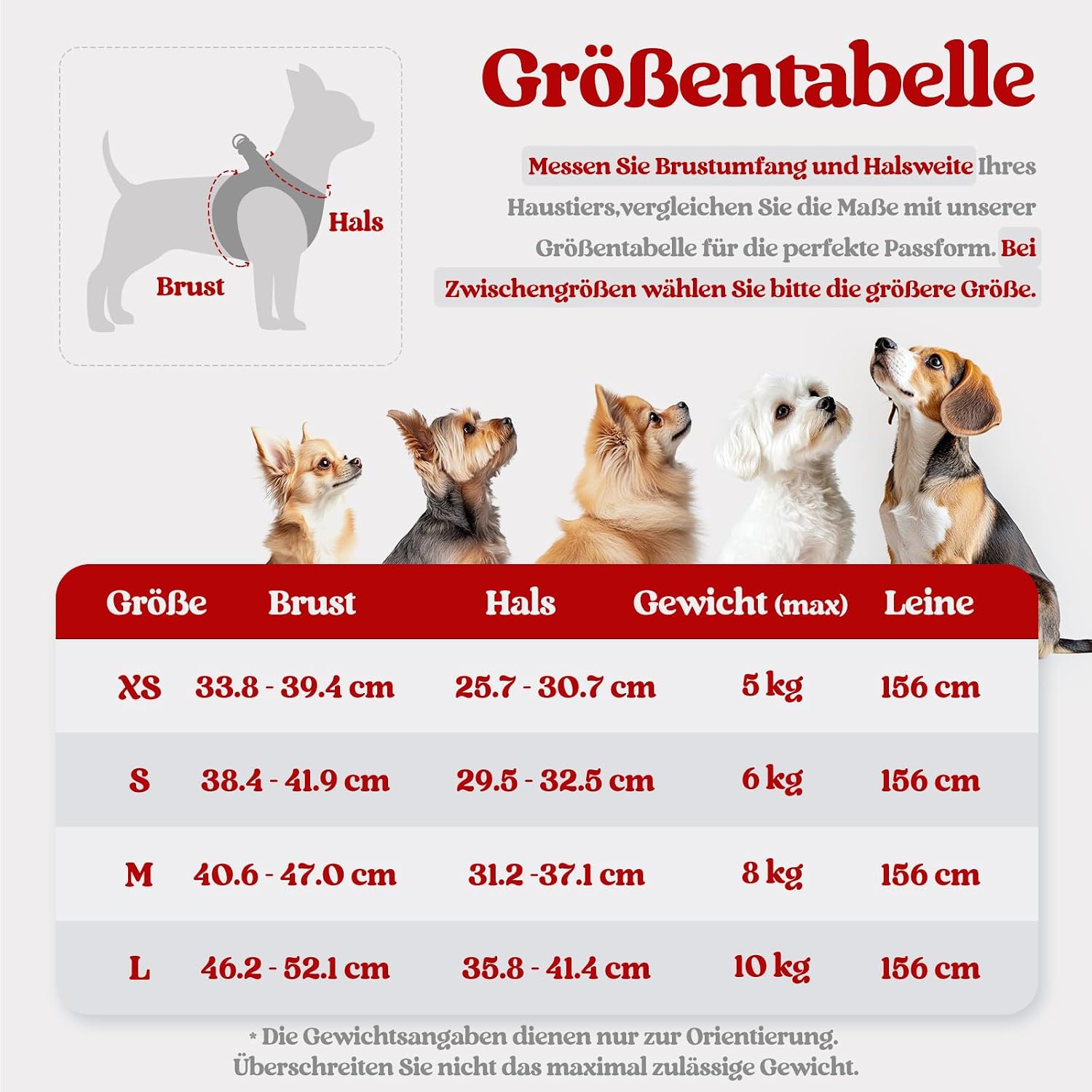 Detalle 2 de rabbitgoo Hundegeschirr 1,56 m