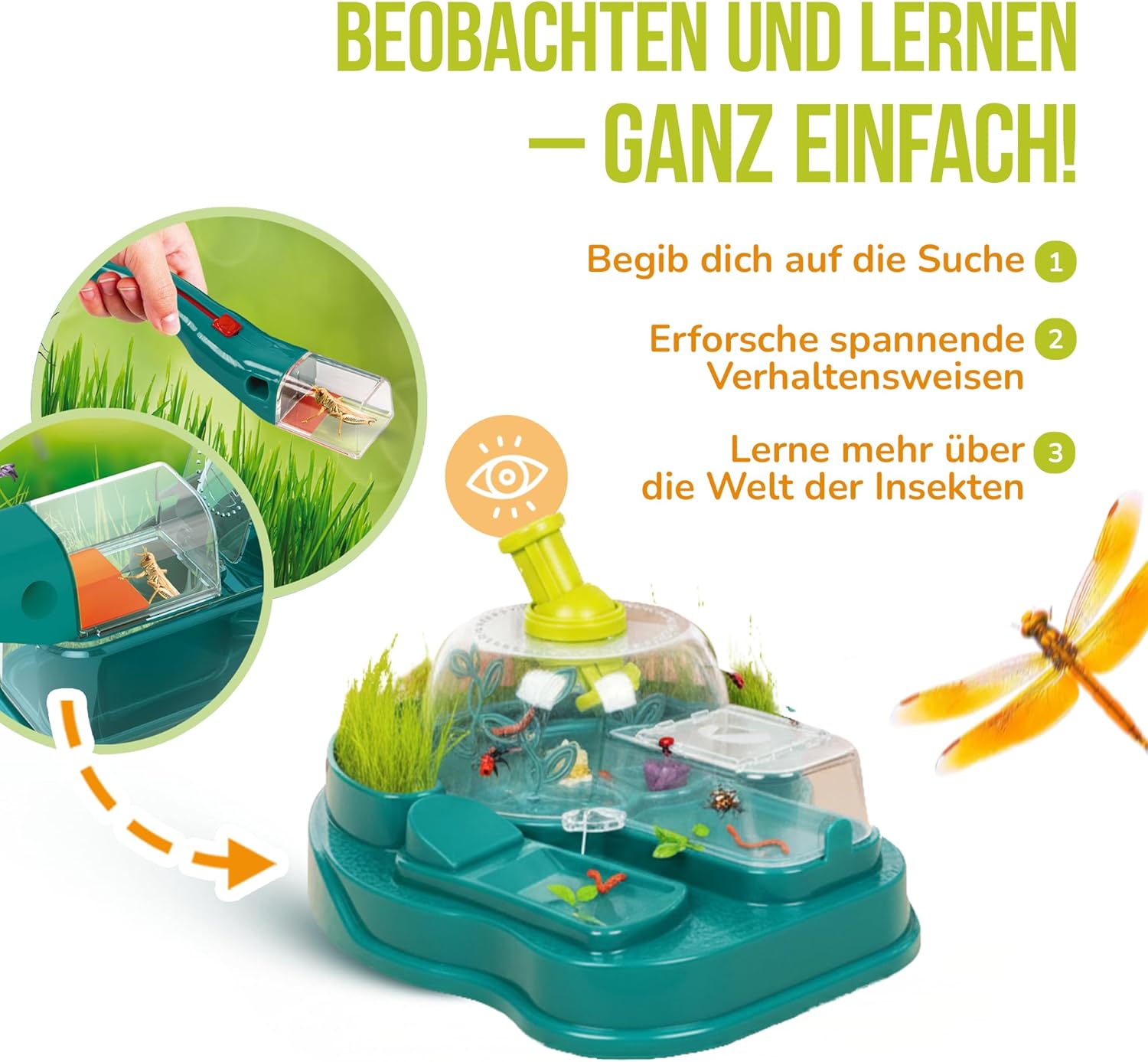 Detalle de Clementoni Galileo Lab Insekten Beobachtungs-Station (59460) – Forschungsstation für Insekten, Raupen & Schmetterlinge ab 7 Jahren